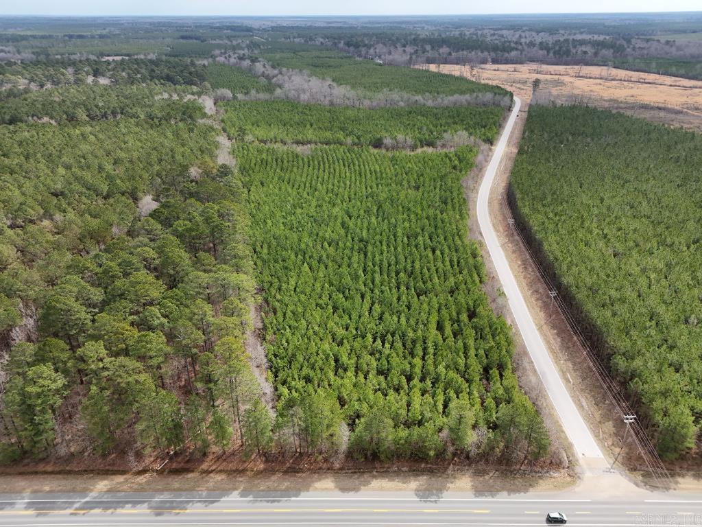 1  Ladelle  Monticello, AR