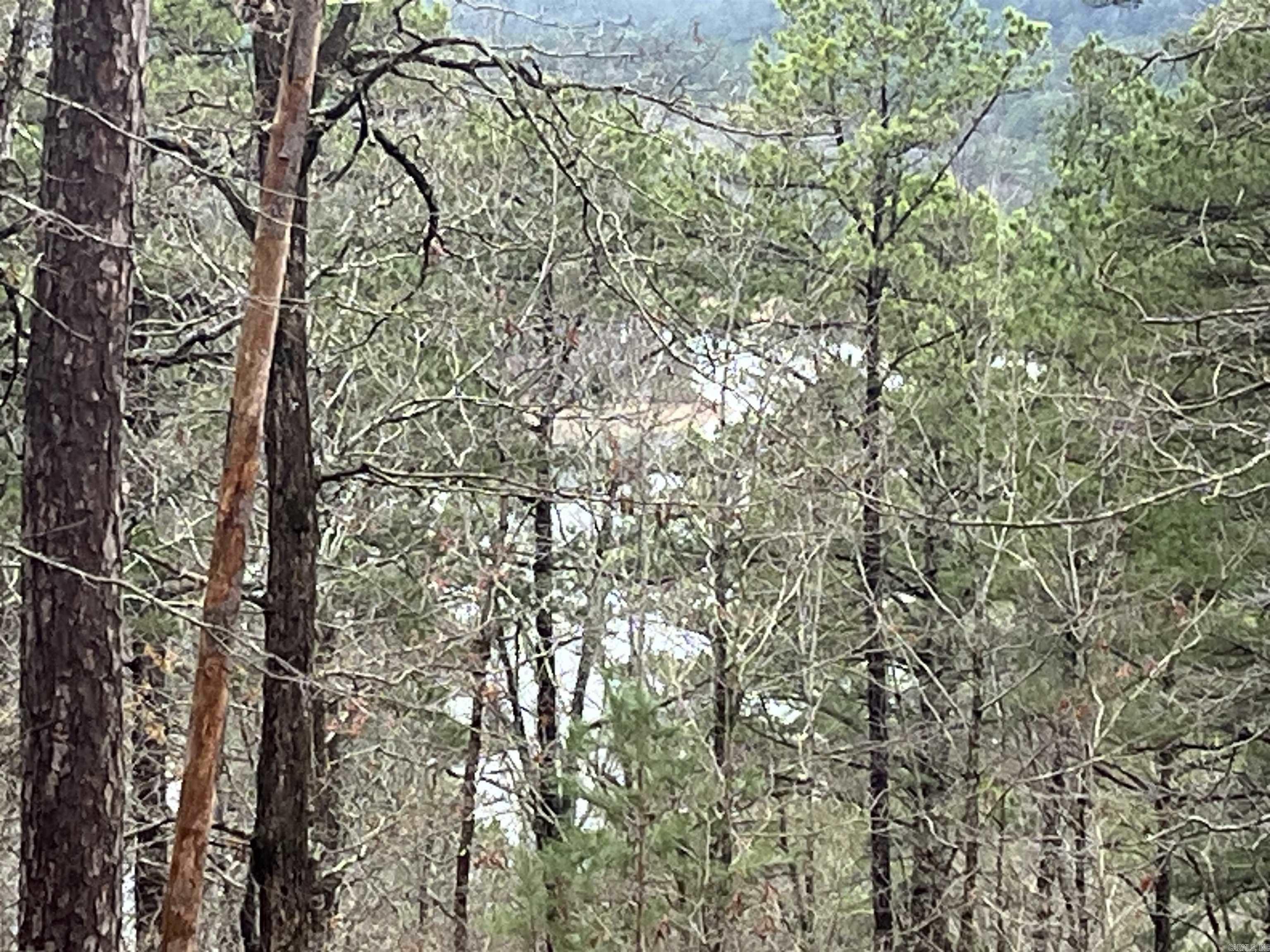 8  Cozar Ln  Hot Springs Village, AR