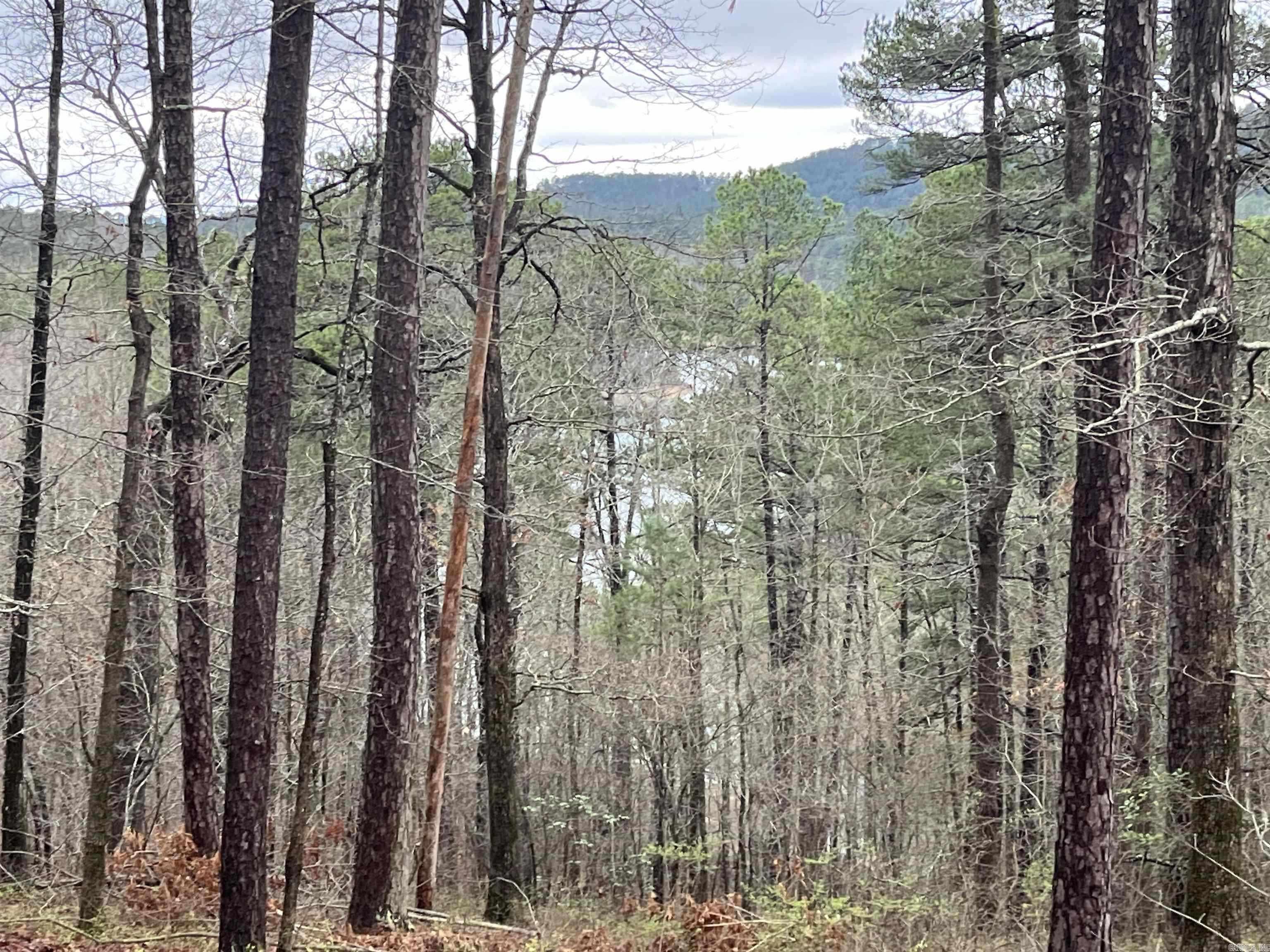 8  Cozar Ln  Hot Springs Village, AR