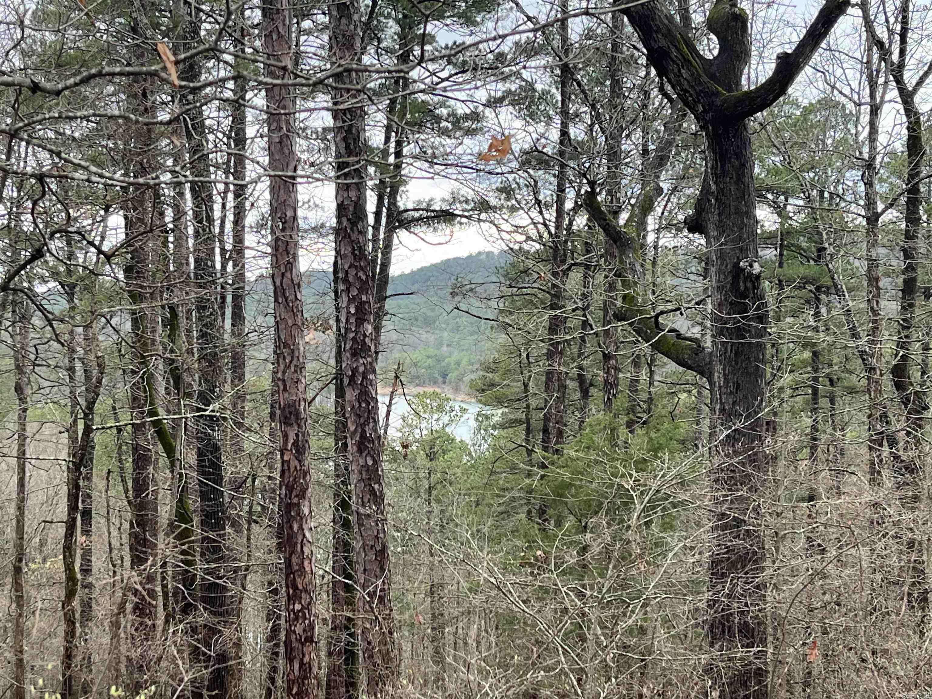 8  Cozar Ln  Hot Springs Village, AR