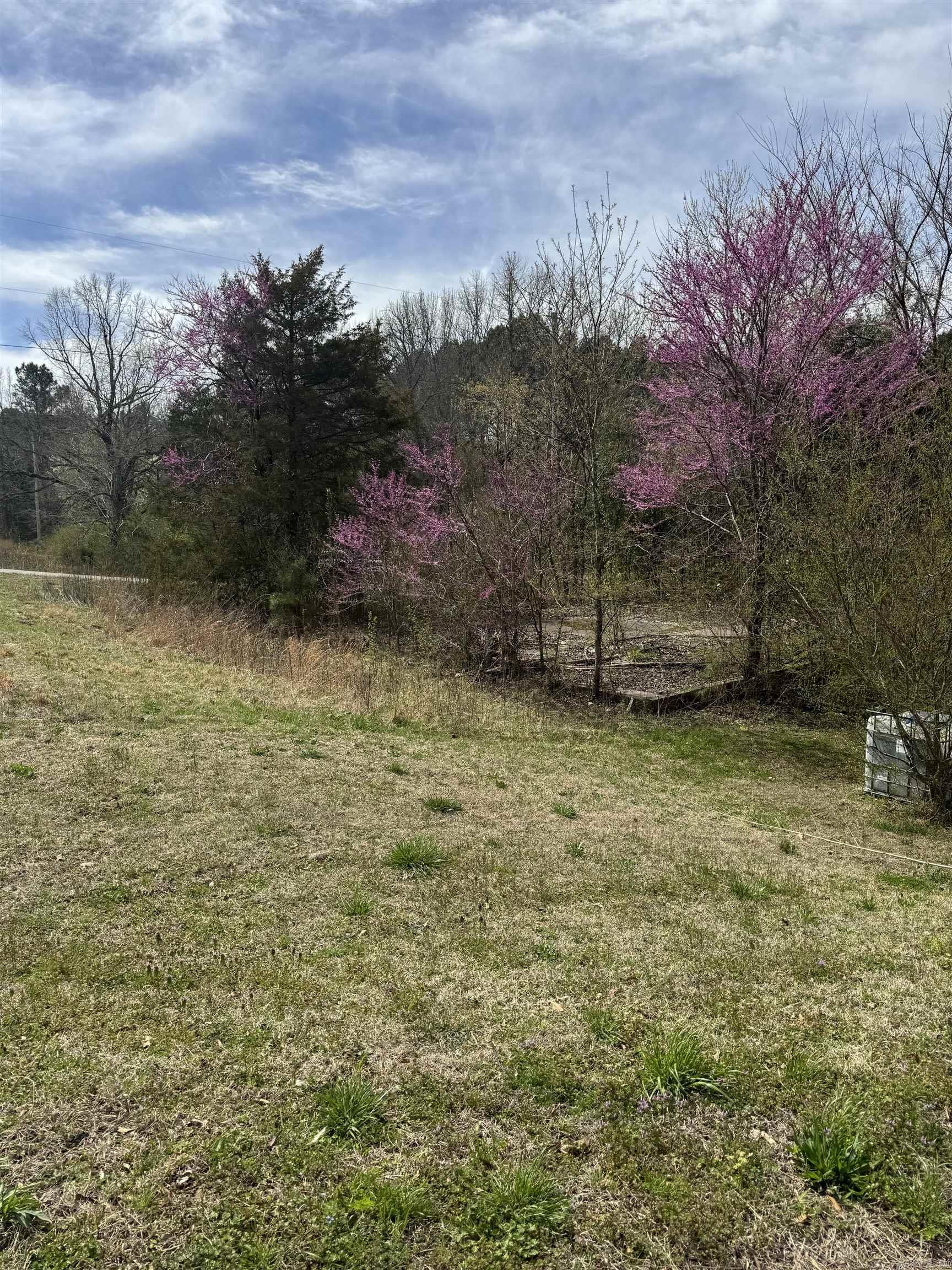 100  US Highway 167  Bald Knob, AR