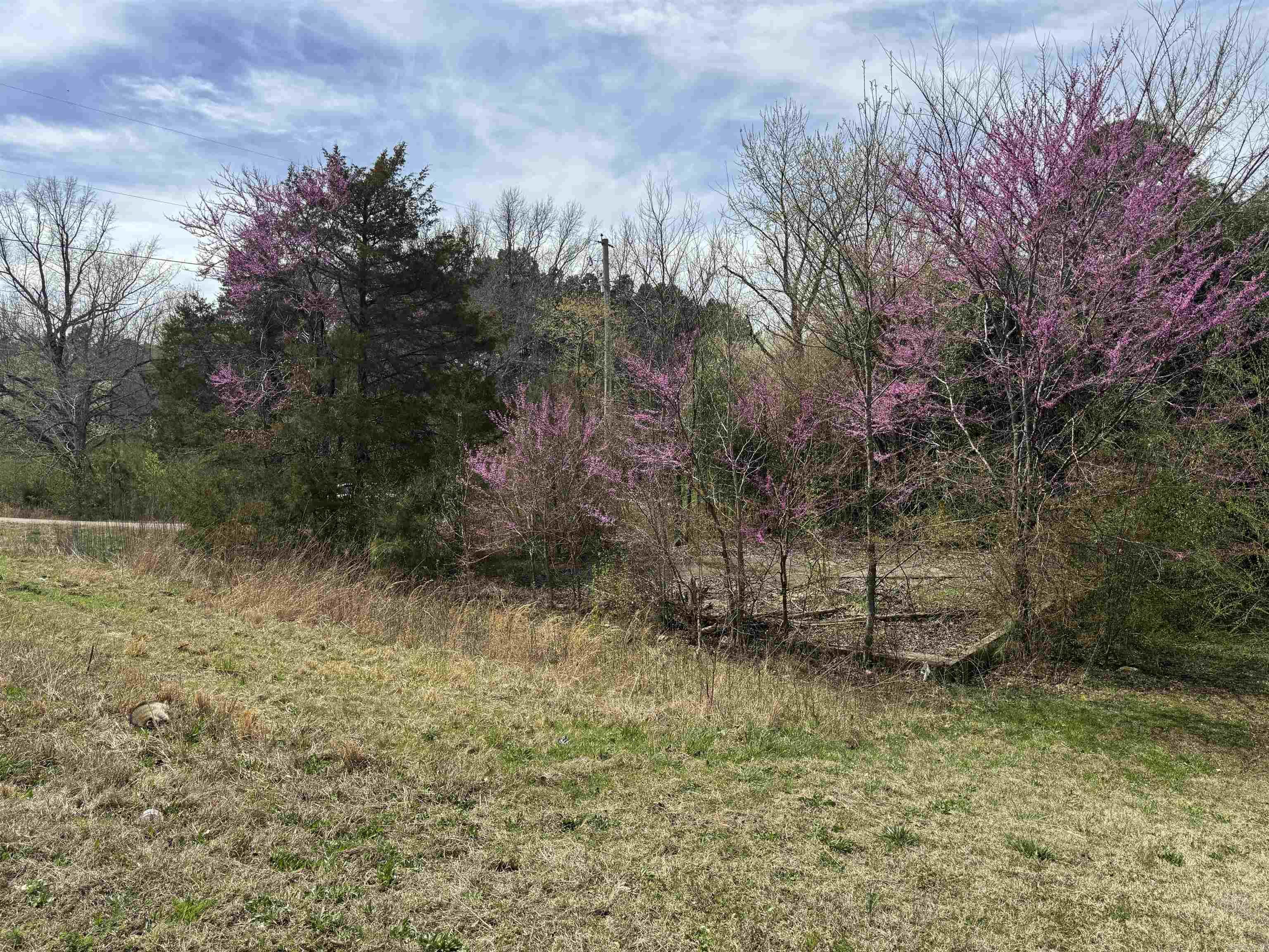 100  US Highway 167  Bald Knob, AR