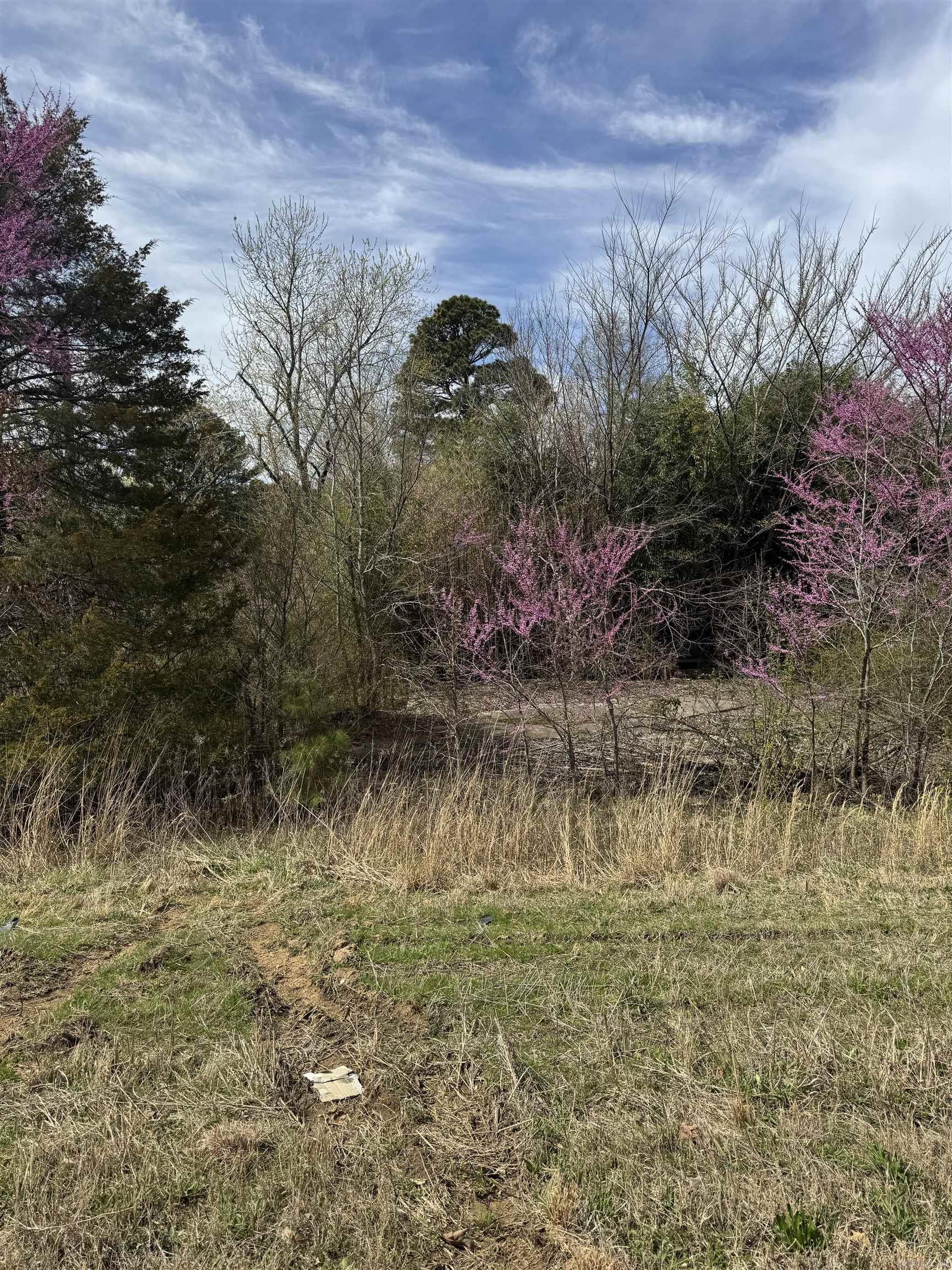100  US Highway 167  Bald Knob, AR