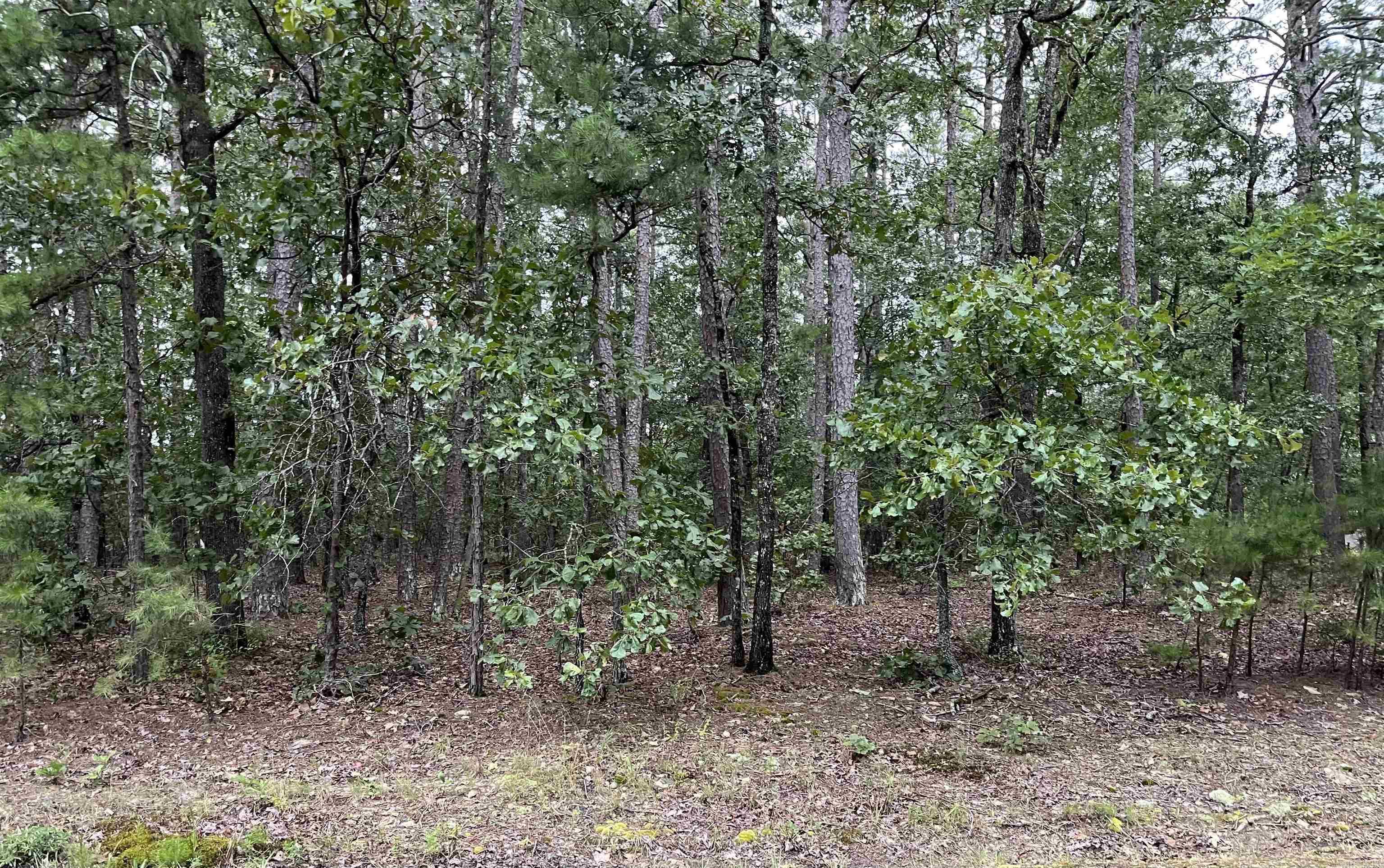 2  Caceres Pl  Hot Springs Village, AR