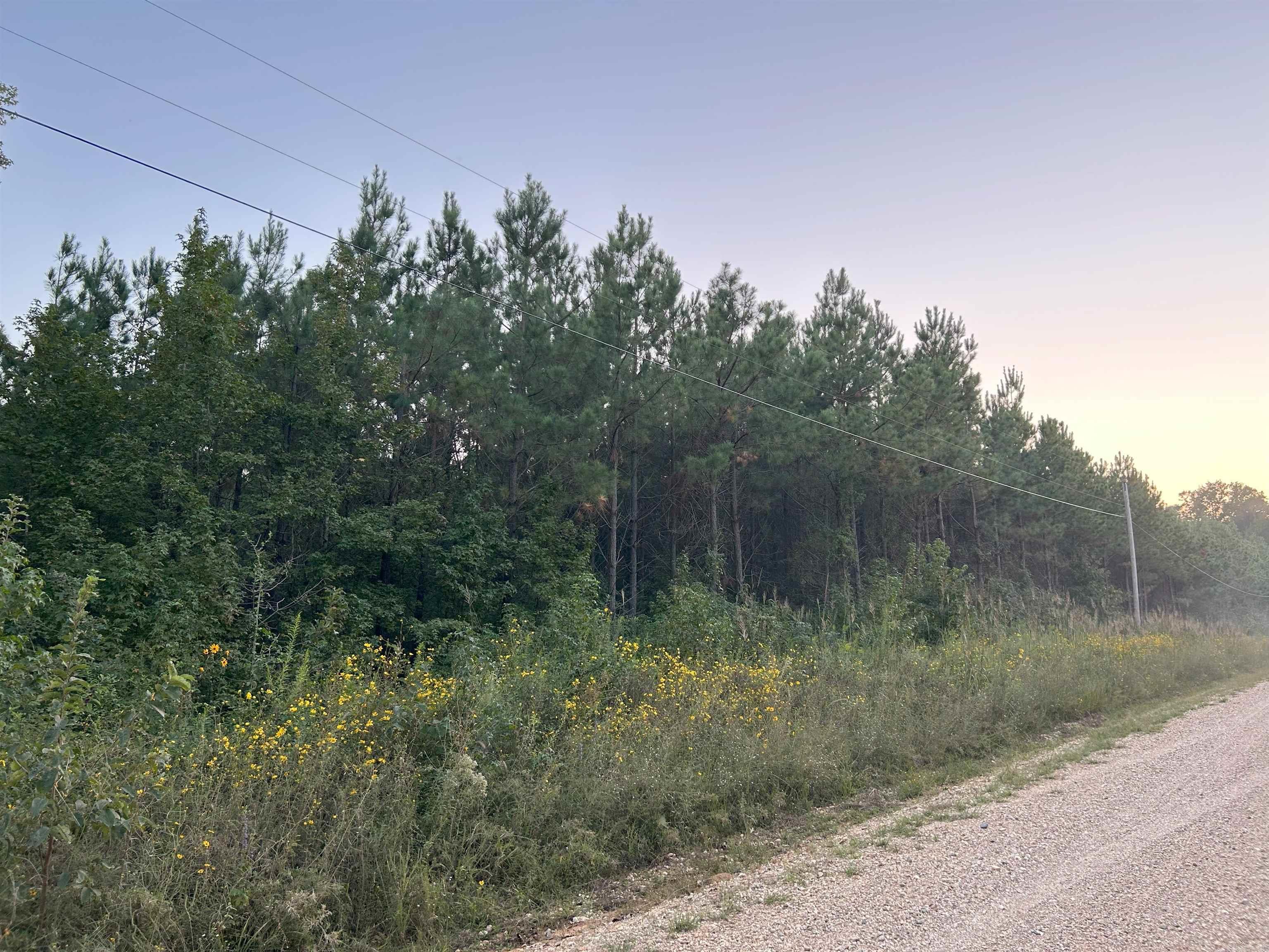 CR 40 E Whelen Rd  Gurdon, AR