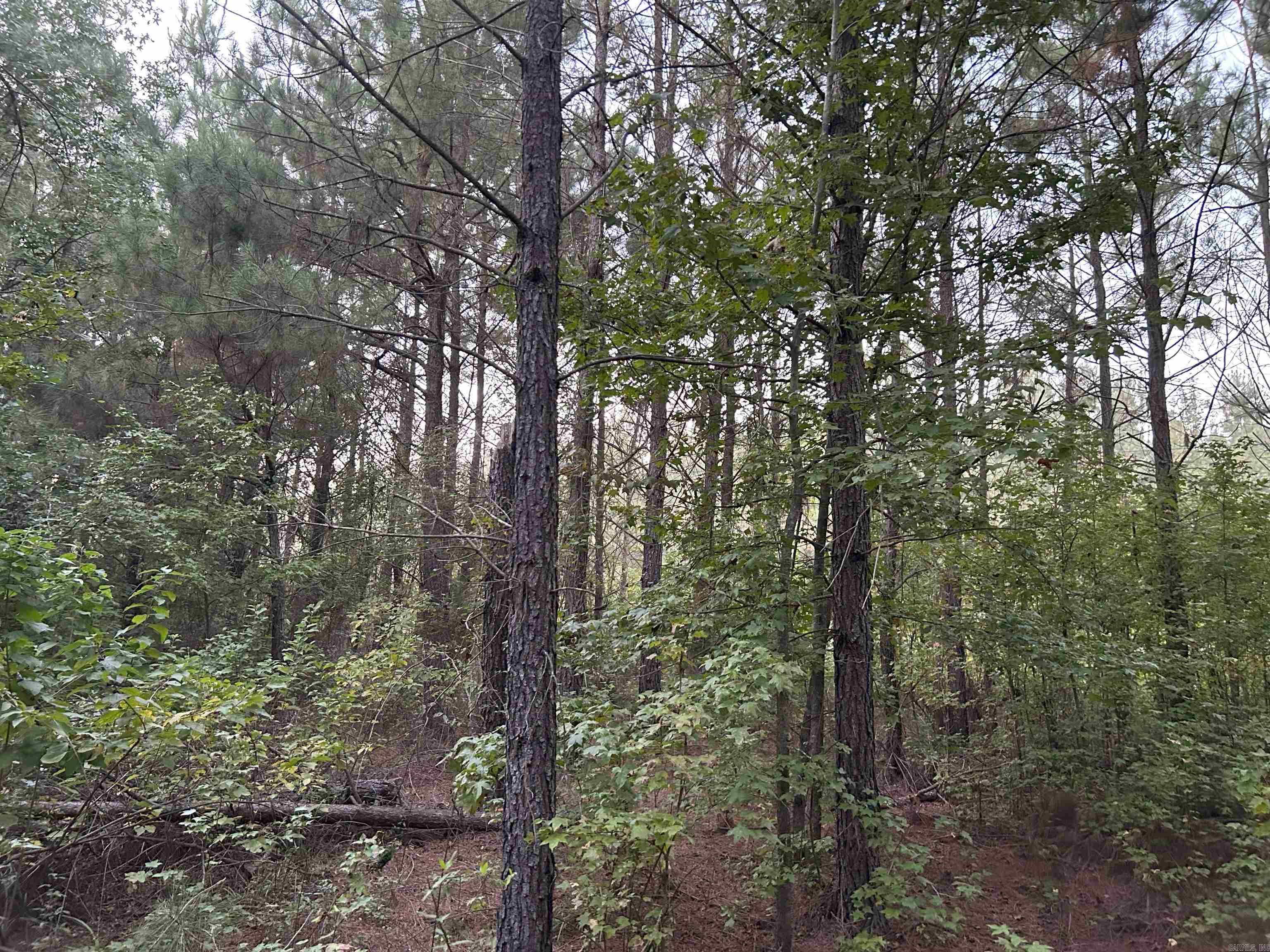 CR 40 E Whelen Rd  Gurdon, AR
