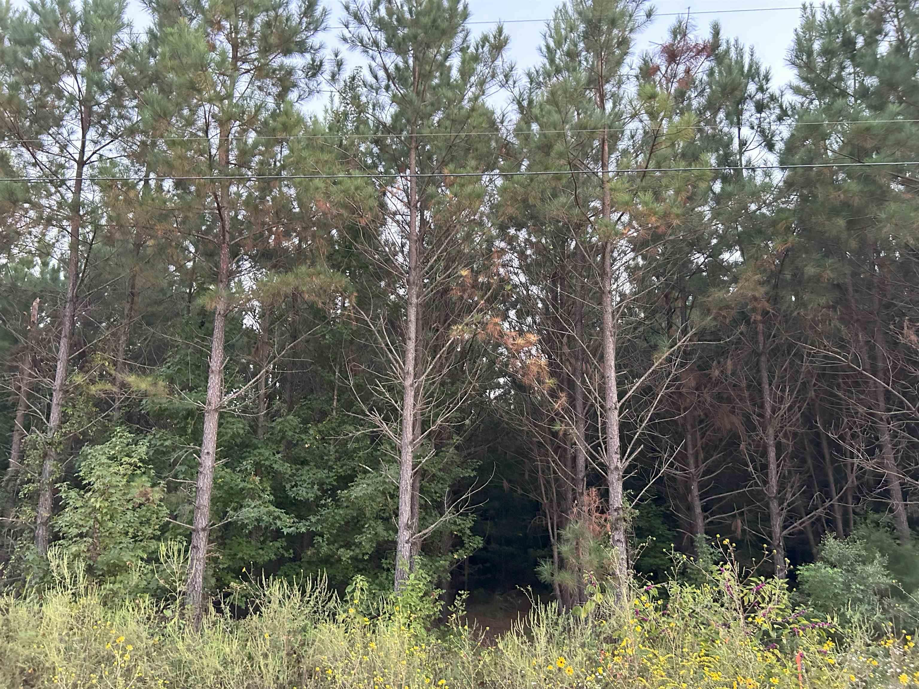 CR 40 E Whelen Rd  Gurdon, AR