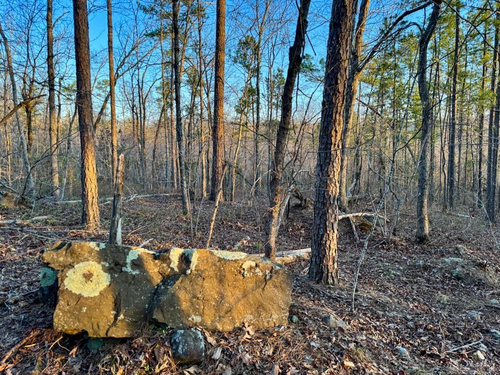 001  Fayette  Clinton, AR