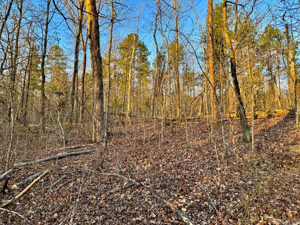 001  Fayette  Clinton, AR