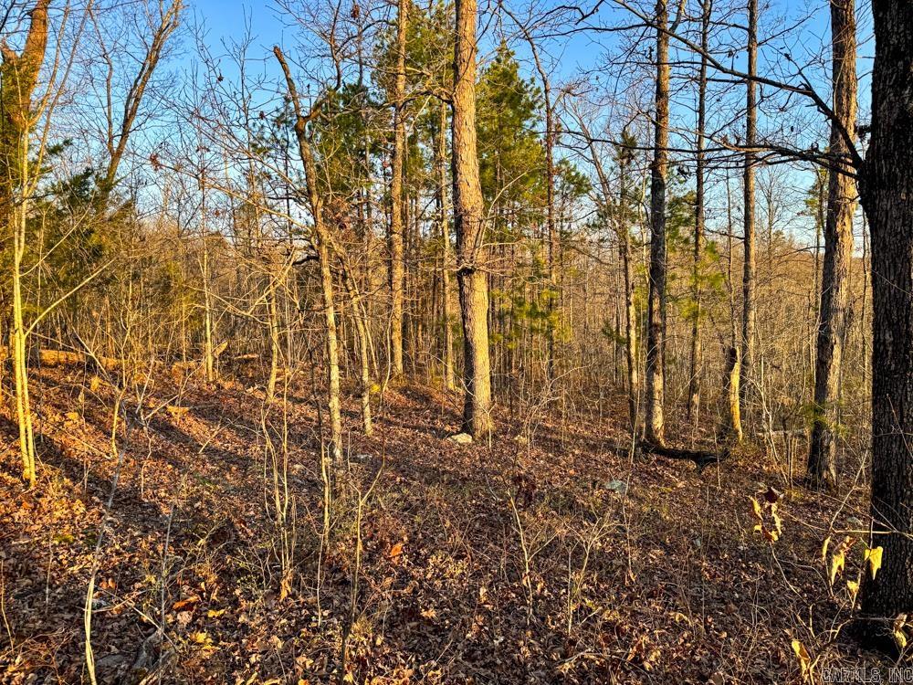 001  Fayette  Clinton, AR