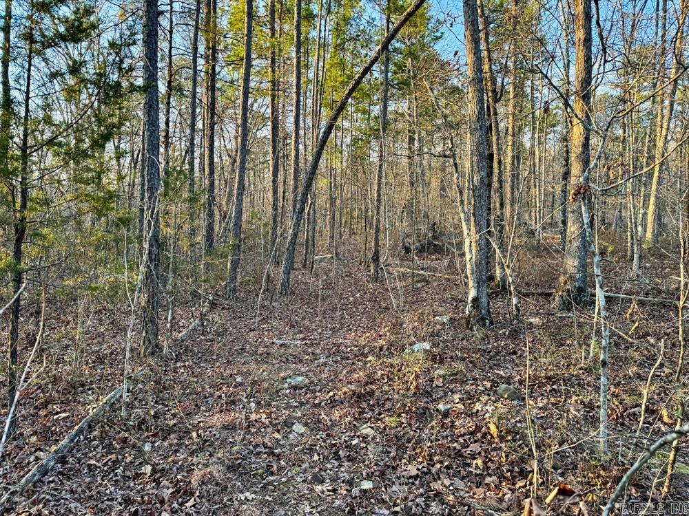 001  Fayette  Clinton, AR