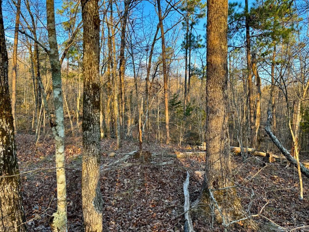 001  Fayette  Clinton, AR