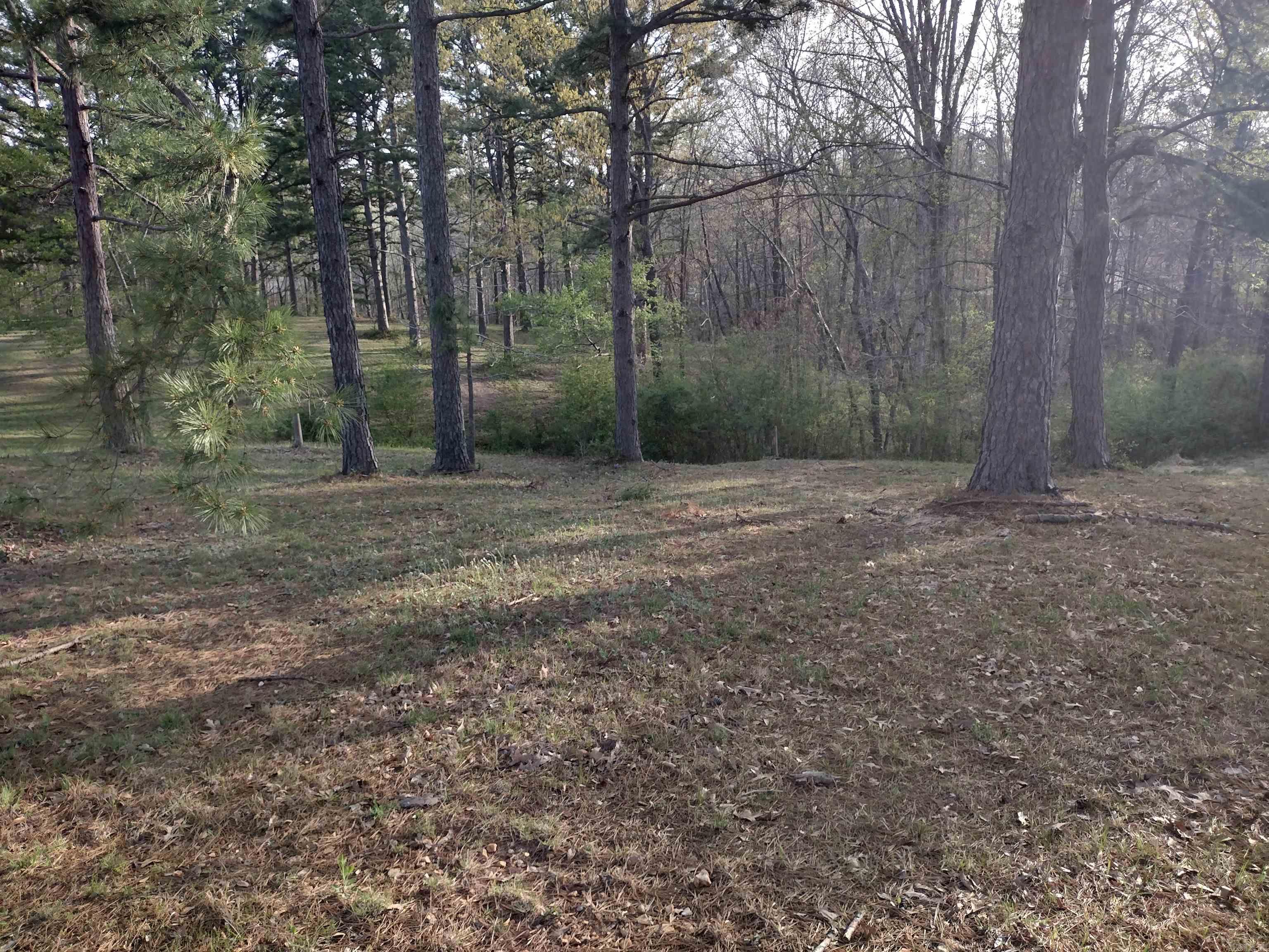 Lot 26  Tournament DR  Mountain View, AR