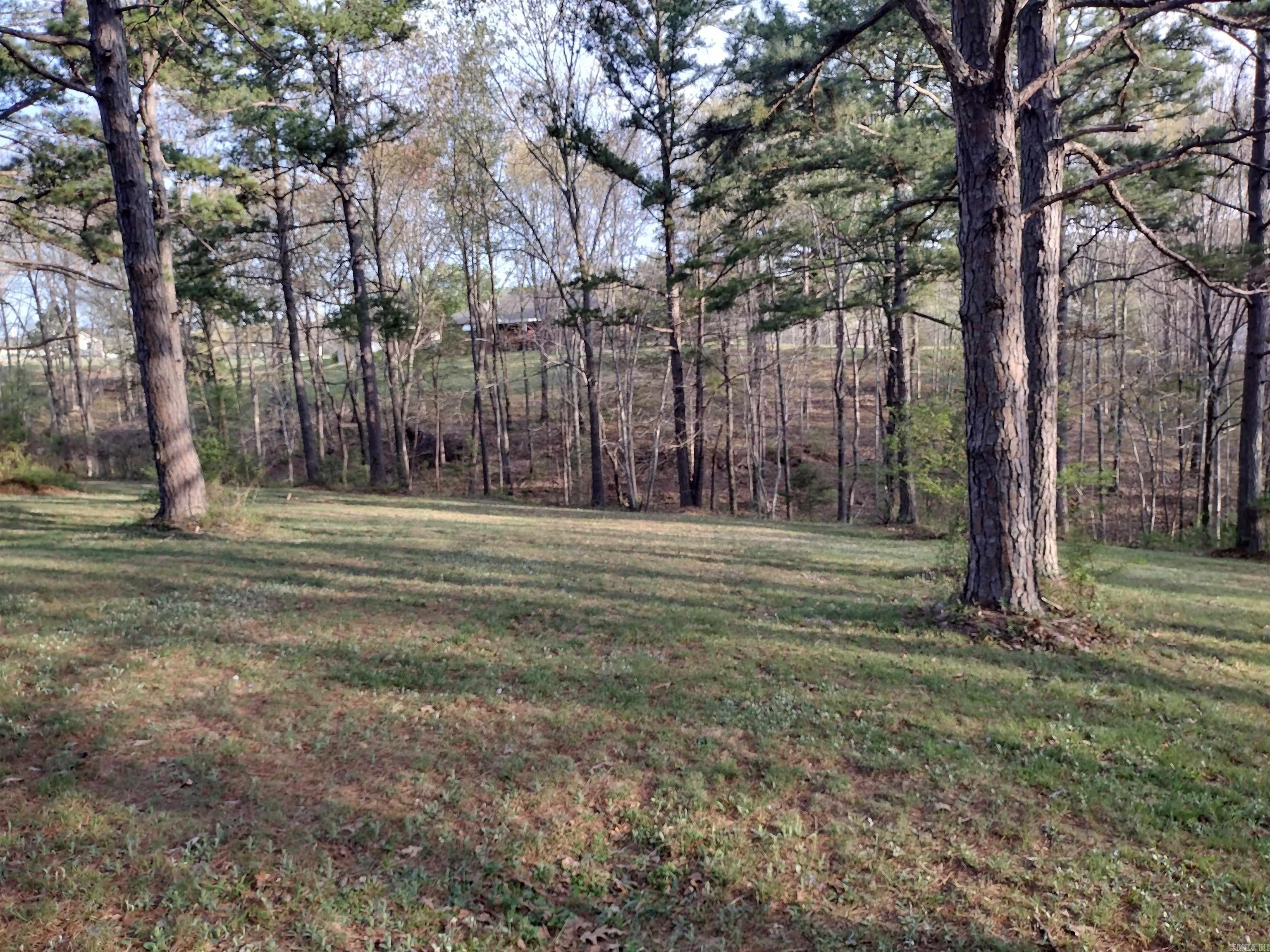 lot 28  Tournament DR  Mountain View, AR