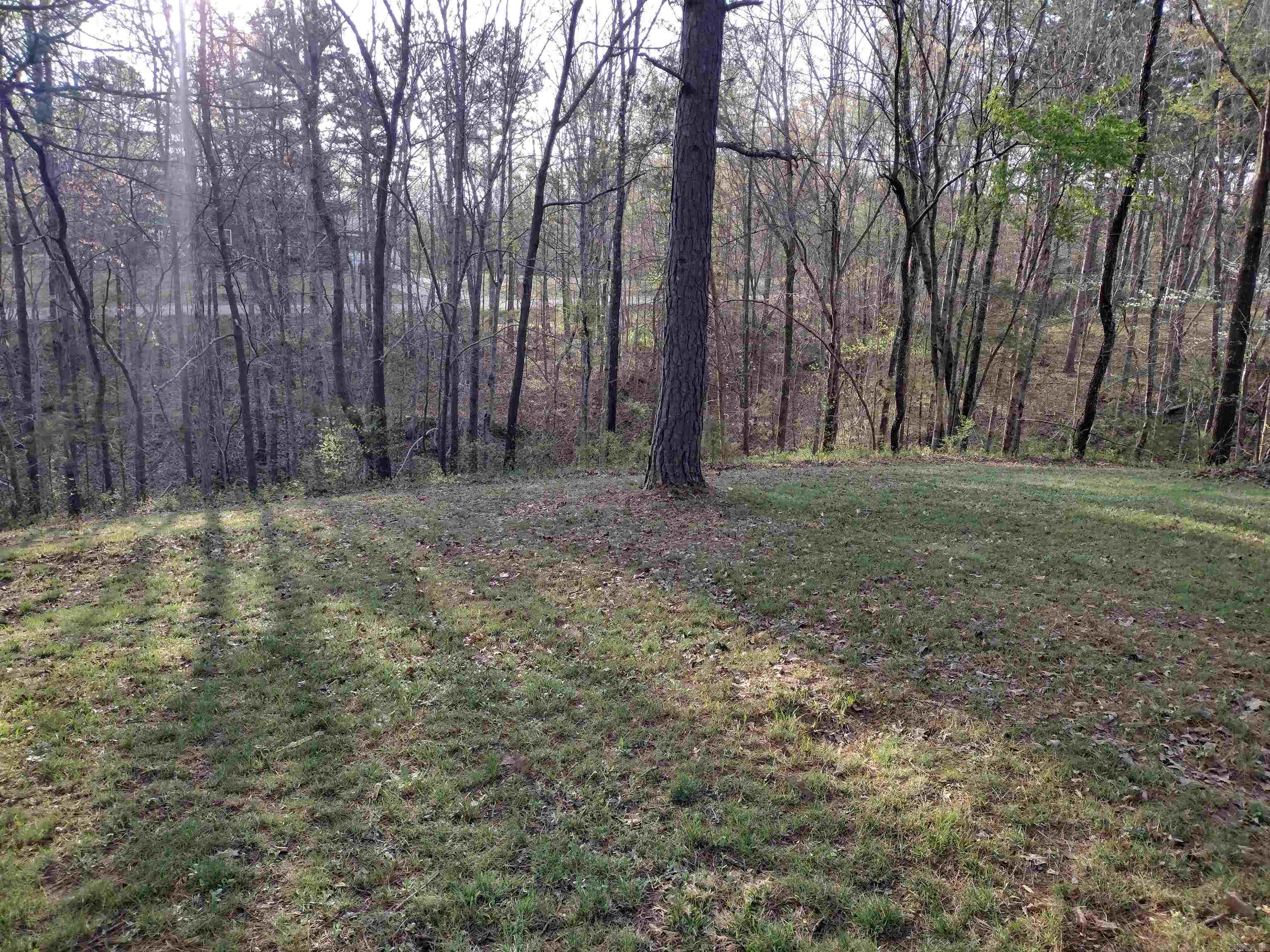 lot 28  Tournament DR  Mountain View, AR