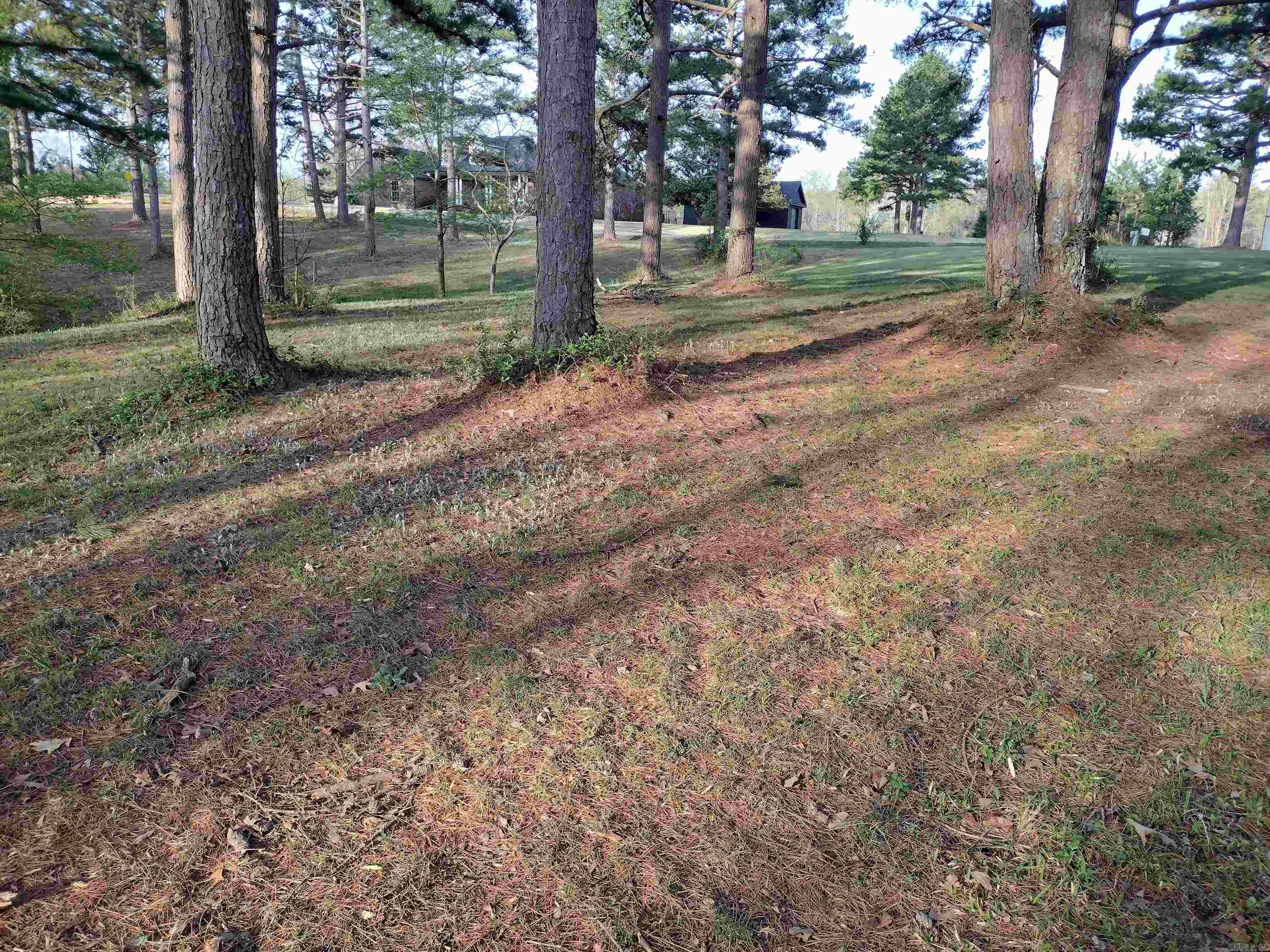 lot 28  Tournament DR  Mountain View, AR