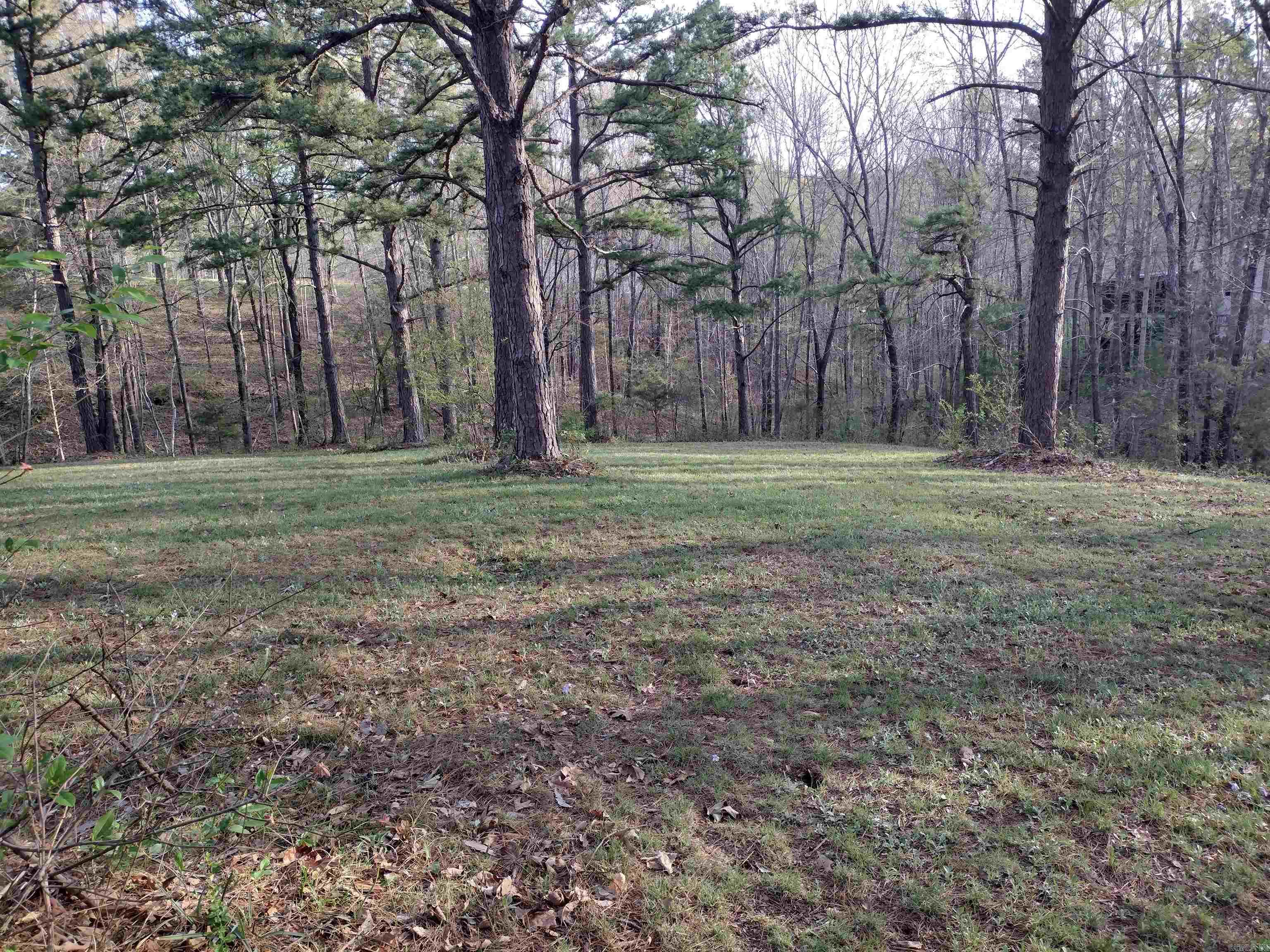lot 28  Tournament DR  Mountain View, AR