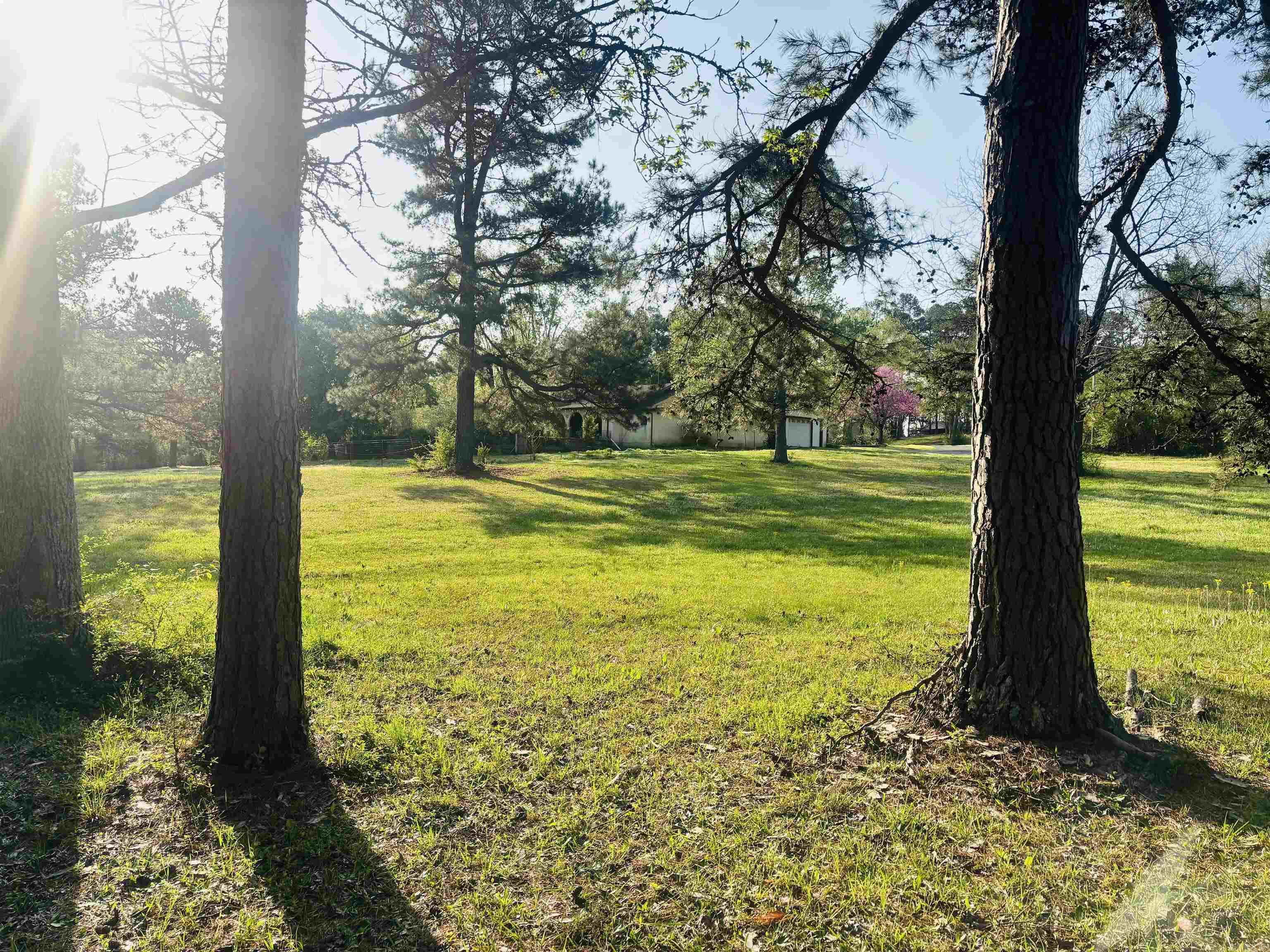 126  Dallas Ln  Mena, AR