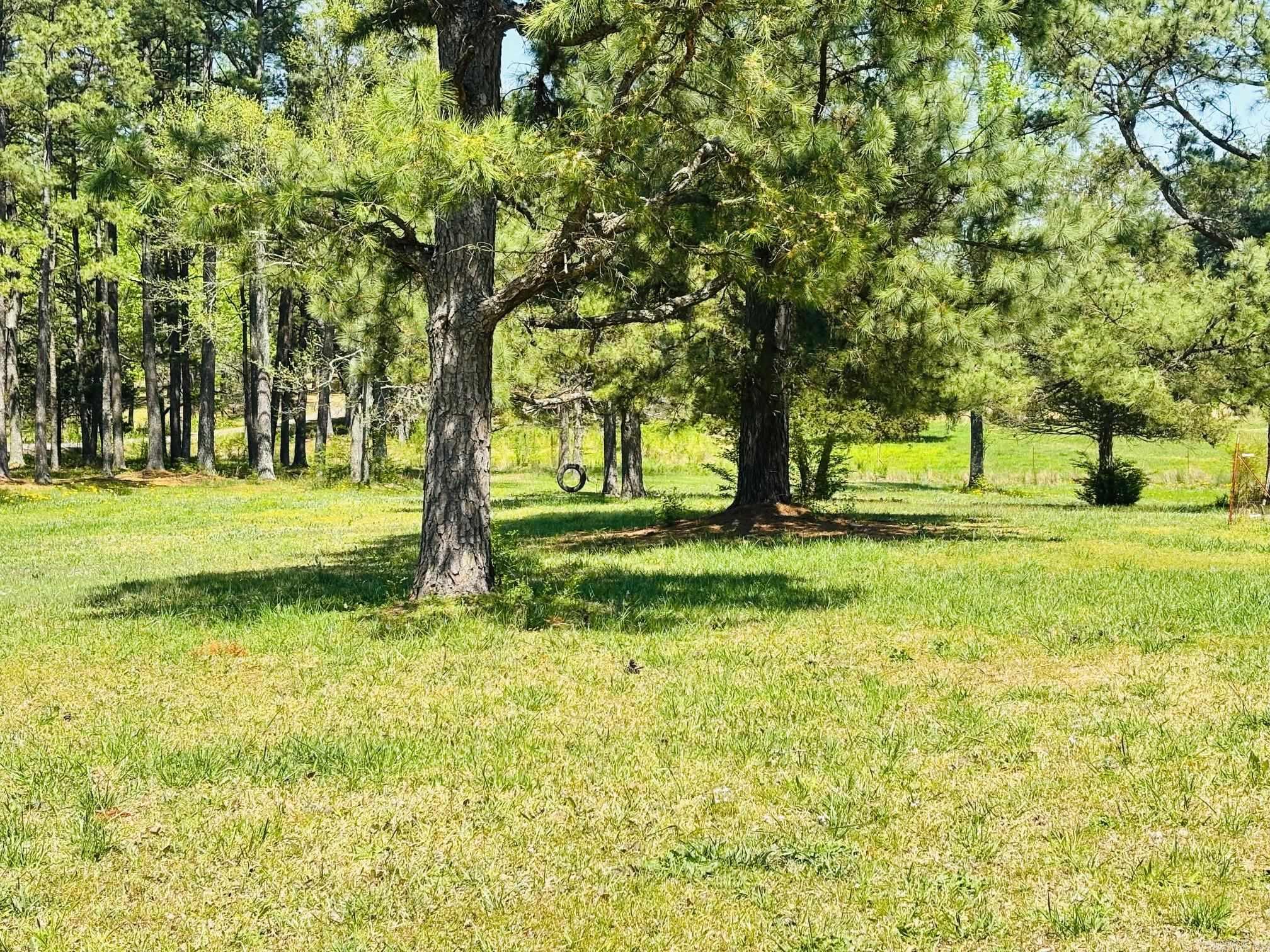 126  Dallas Ln  Mena, AR