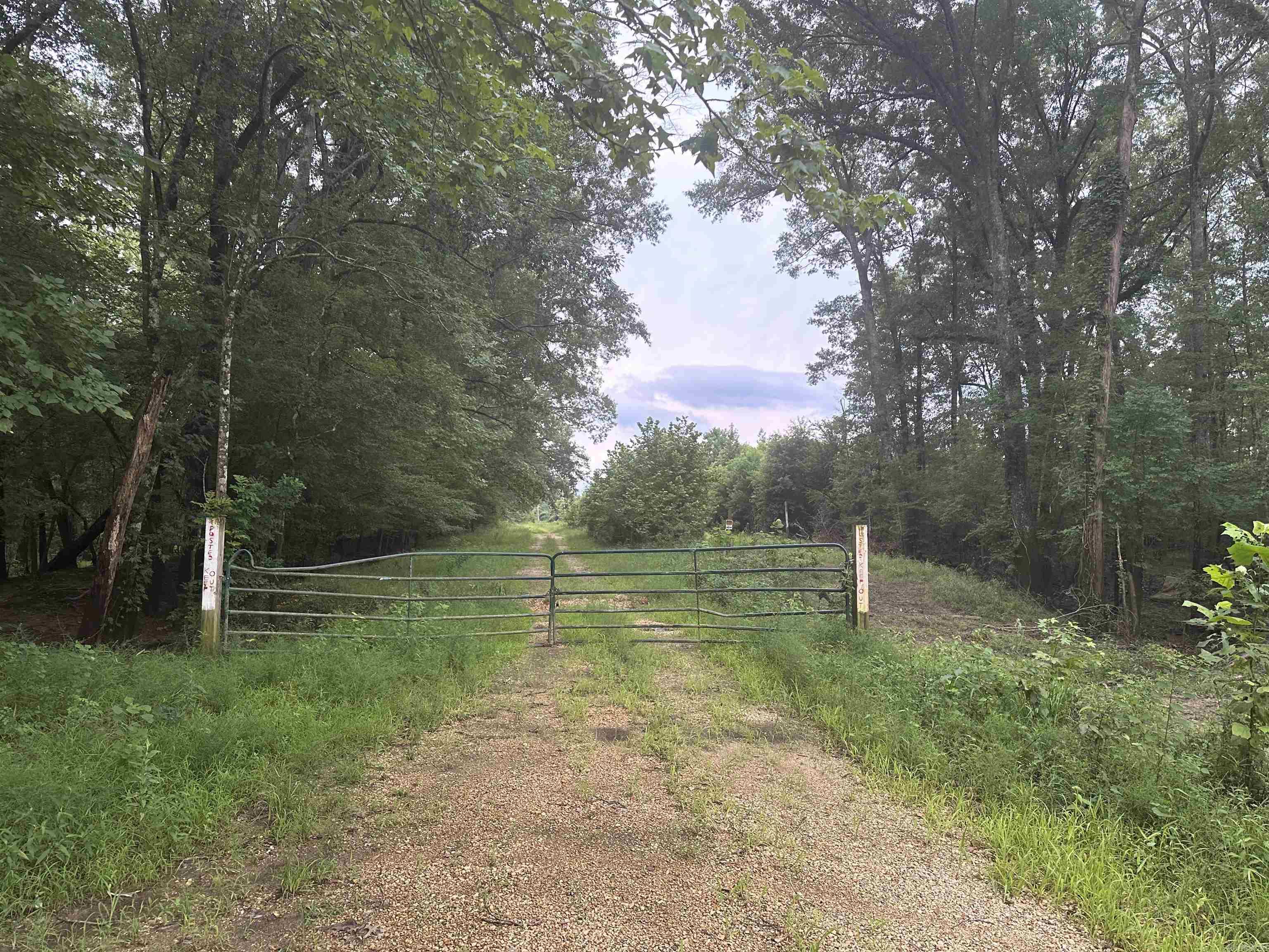 16-13-9  Bradley CR 44  Warren, AR