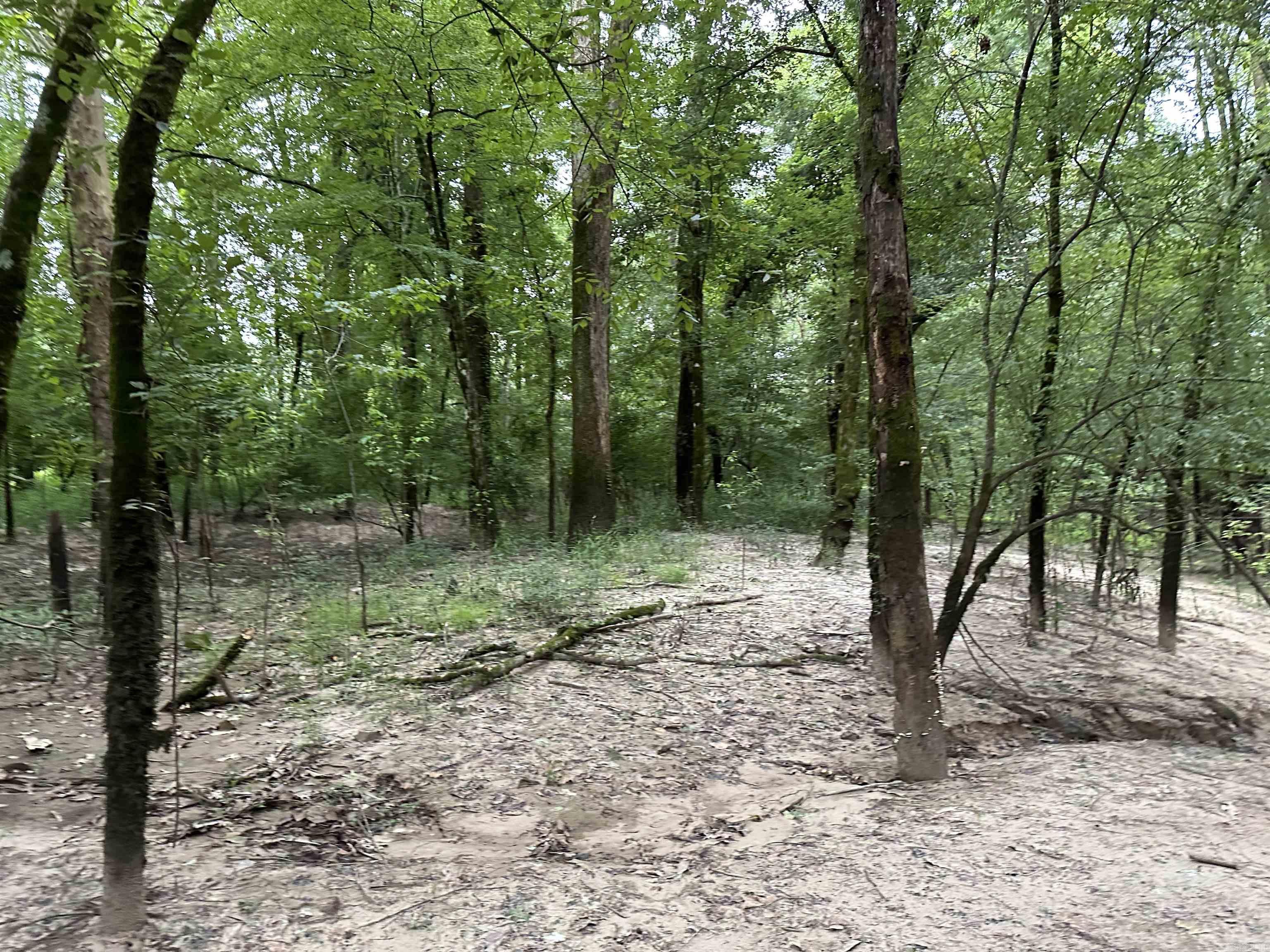 16-13-9  Bradley CR 44  Warren, AR