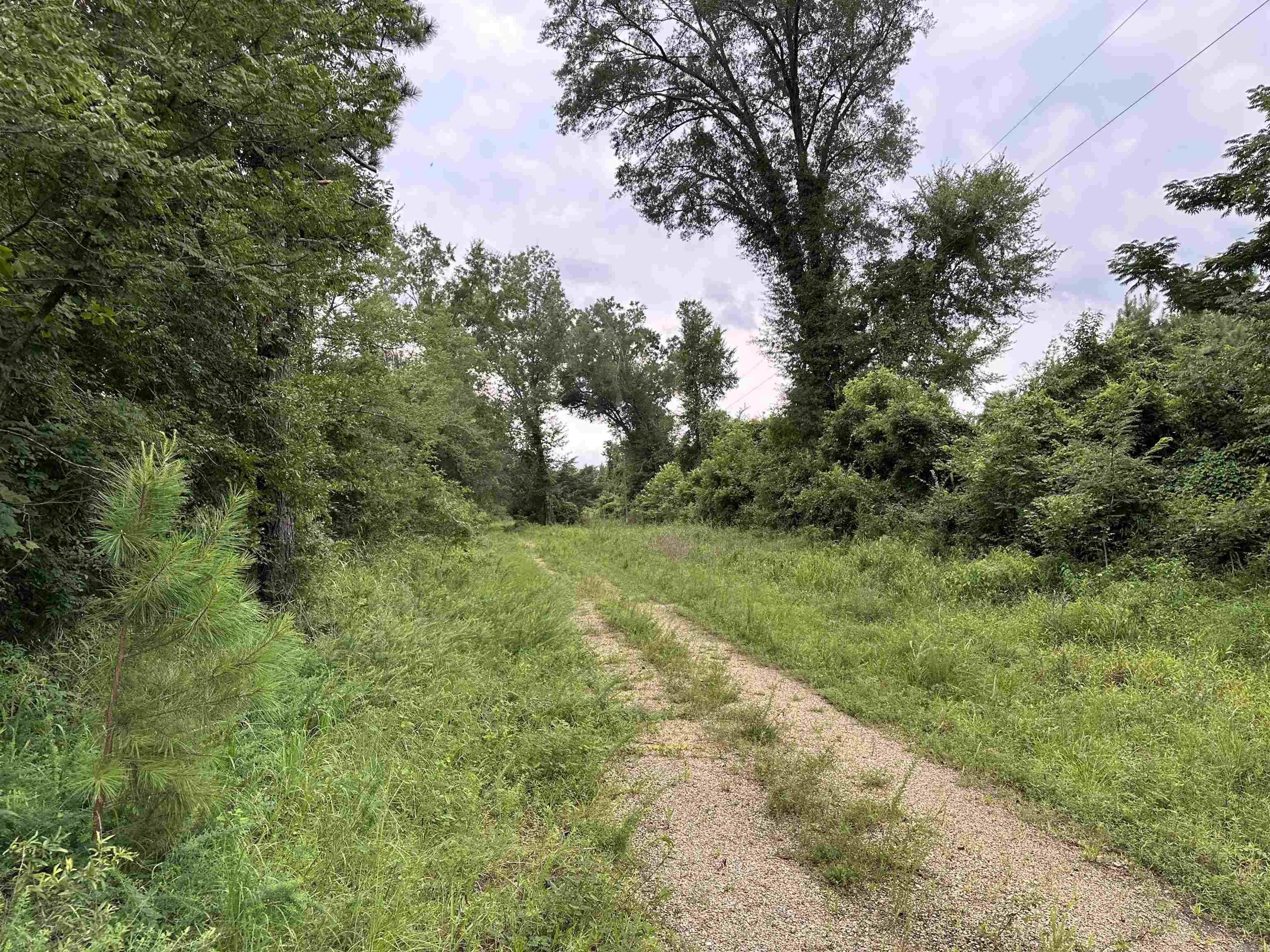 16-13-9  Bradley CR 44  Warren, AR