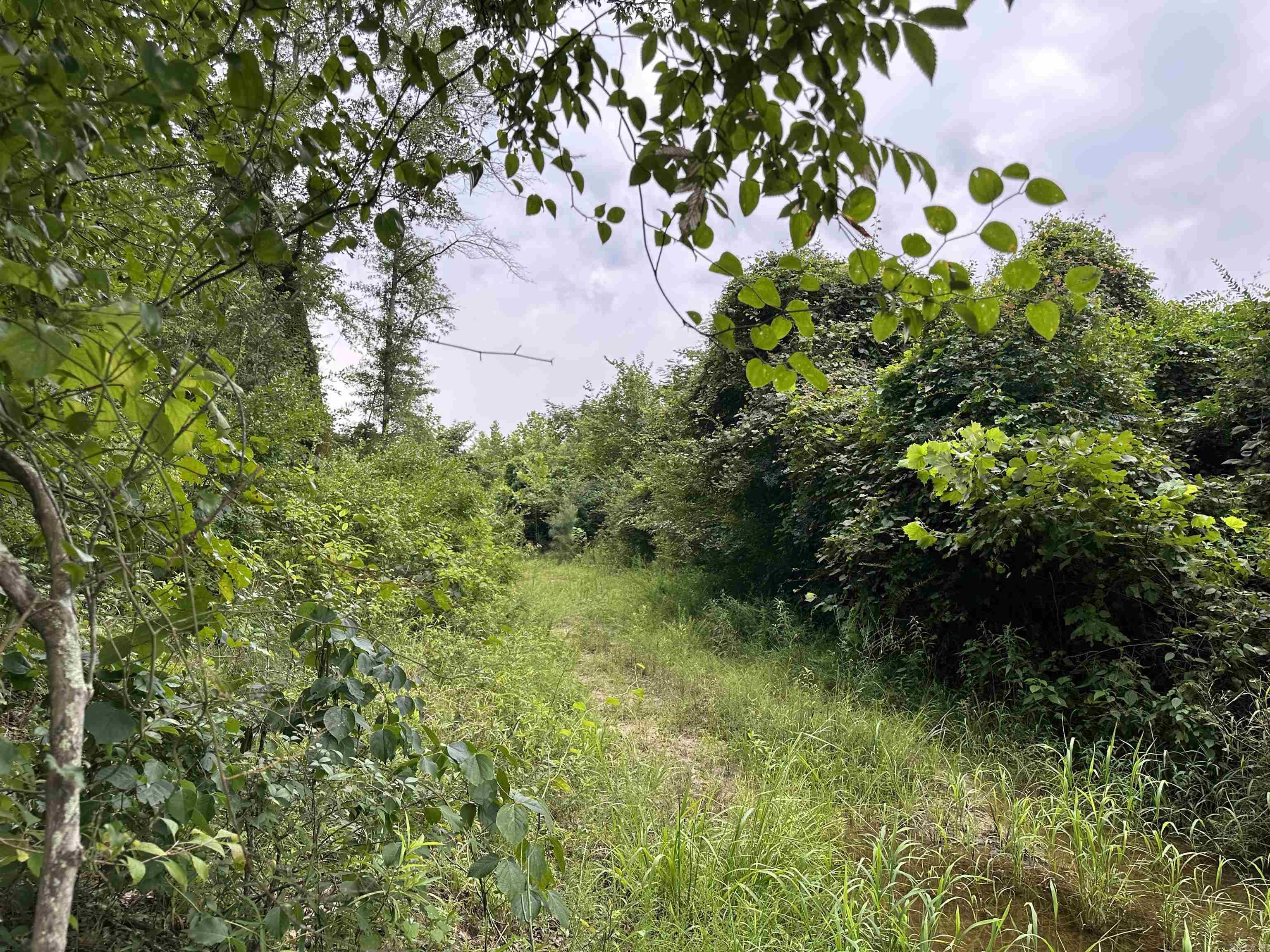 16-13-9  Bradley CR 44  Warren, AR