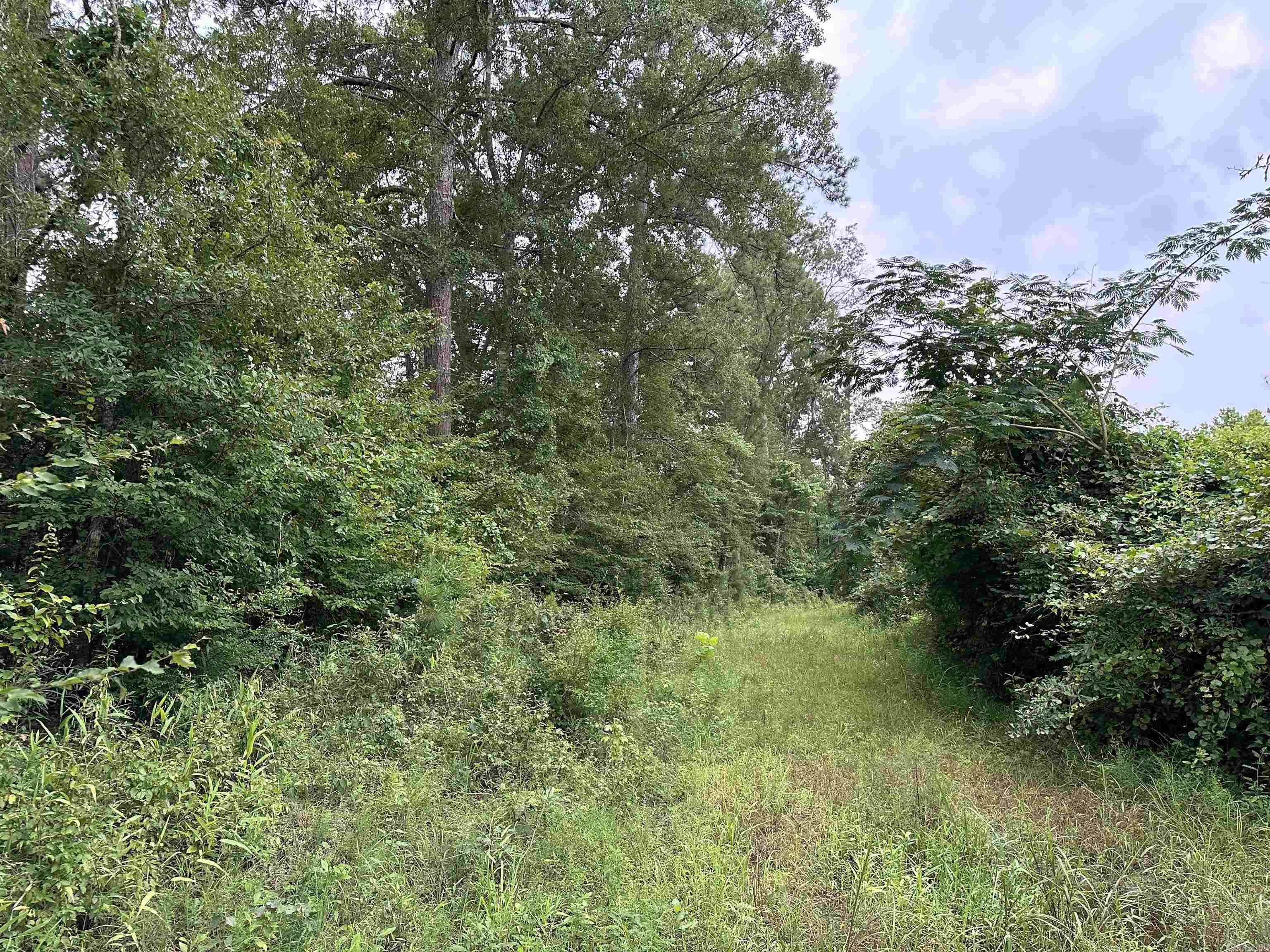 16-13-9  Bradley CR 44  Warren, AR