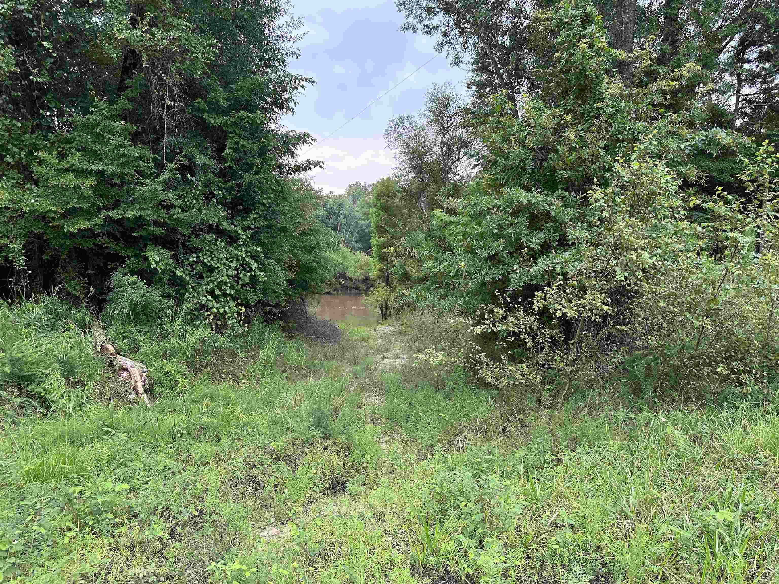 16-13-9  Bradley CR 44  Warren, AR