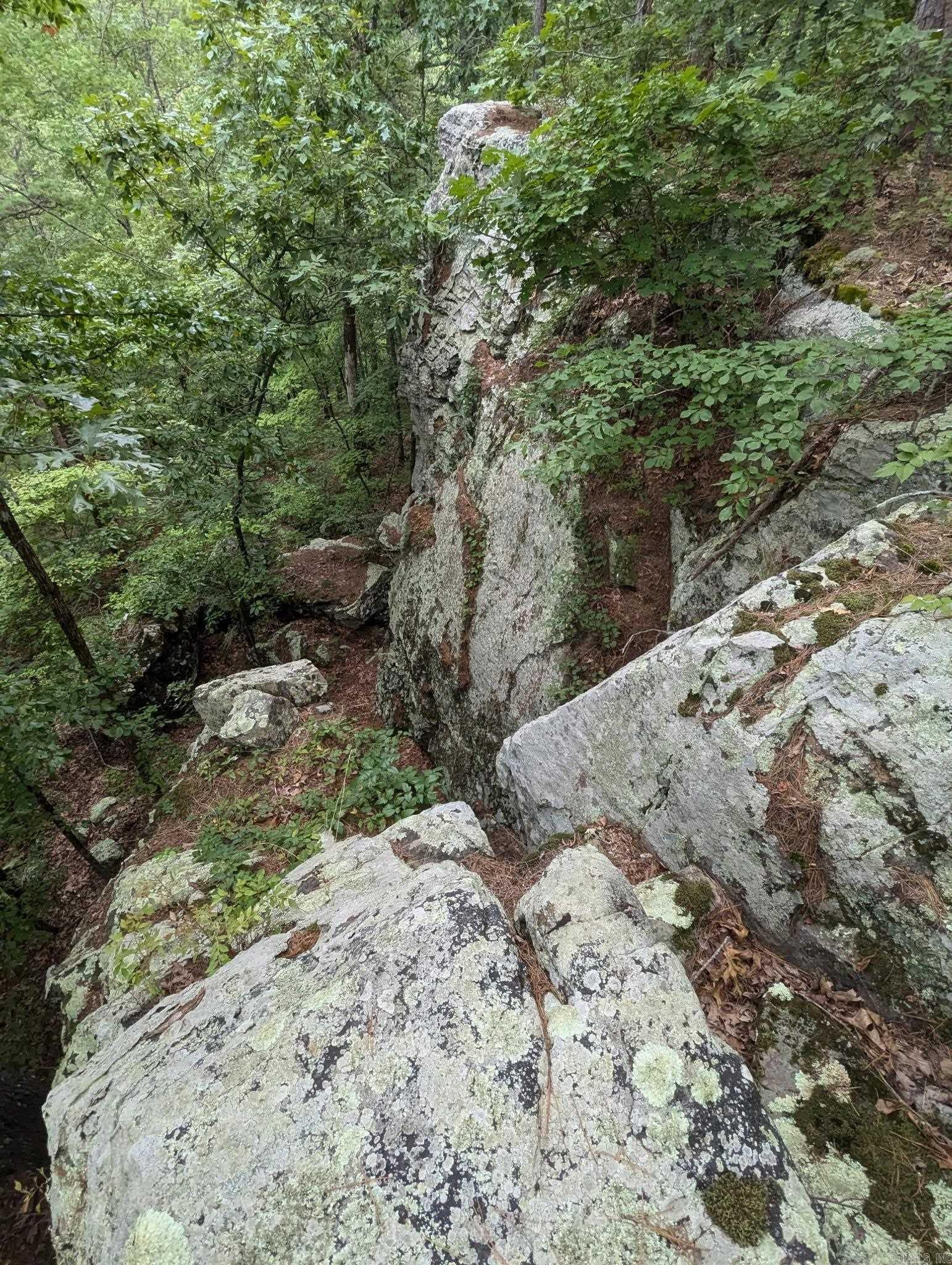 0000  Lute Mountain Road  Shirley, AR