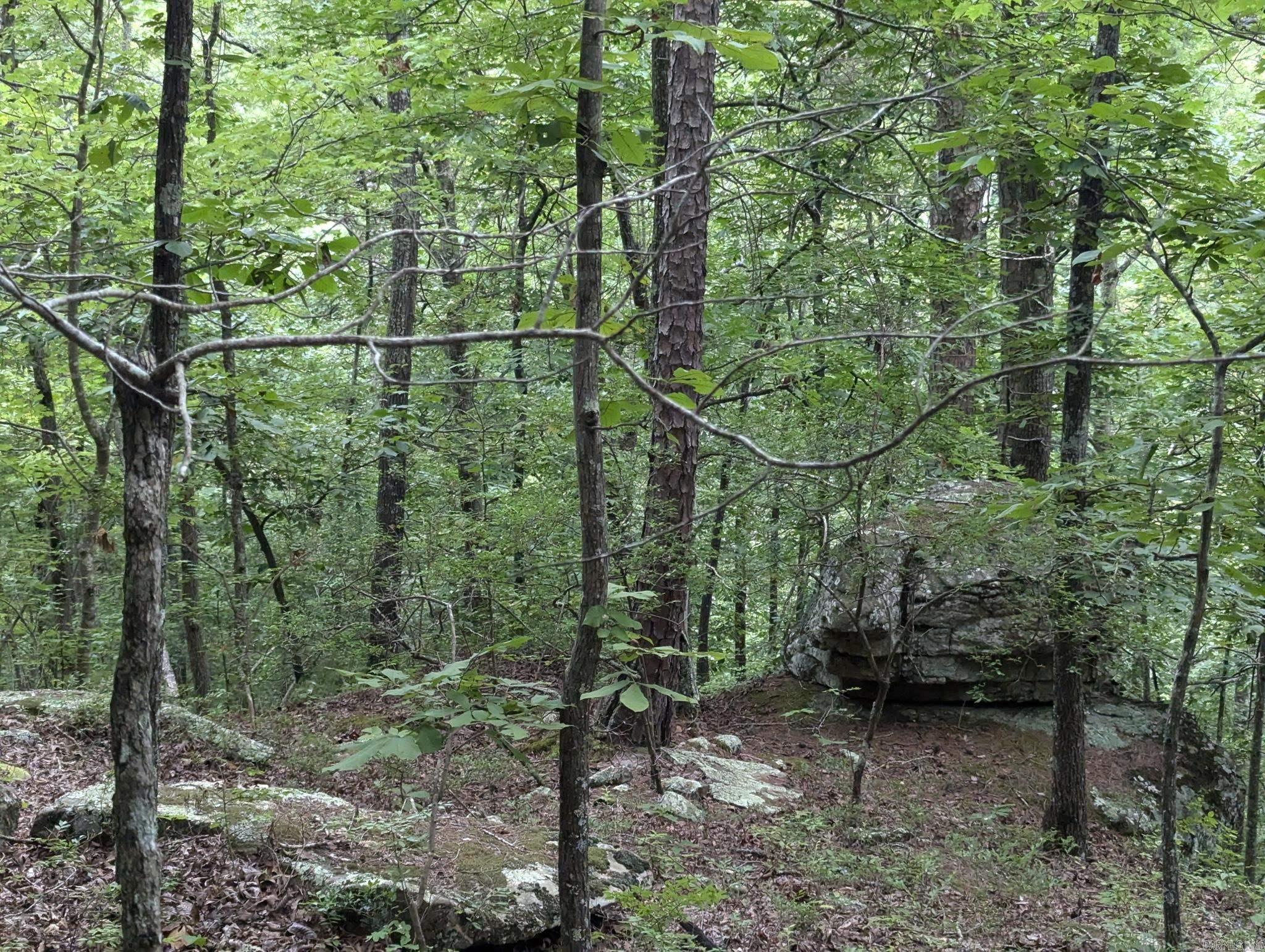 0000  Lute Mountain Road  Shirley, AR