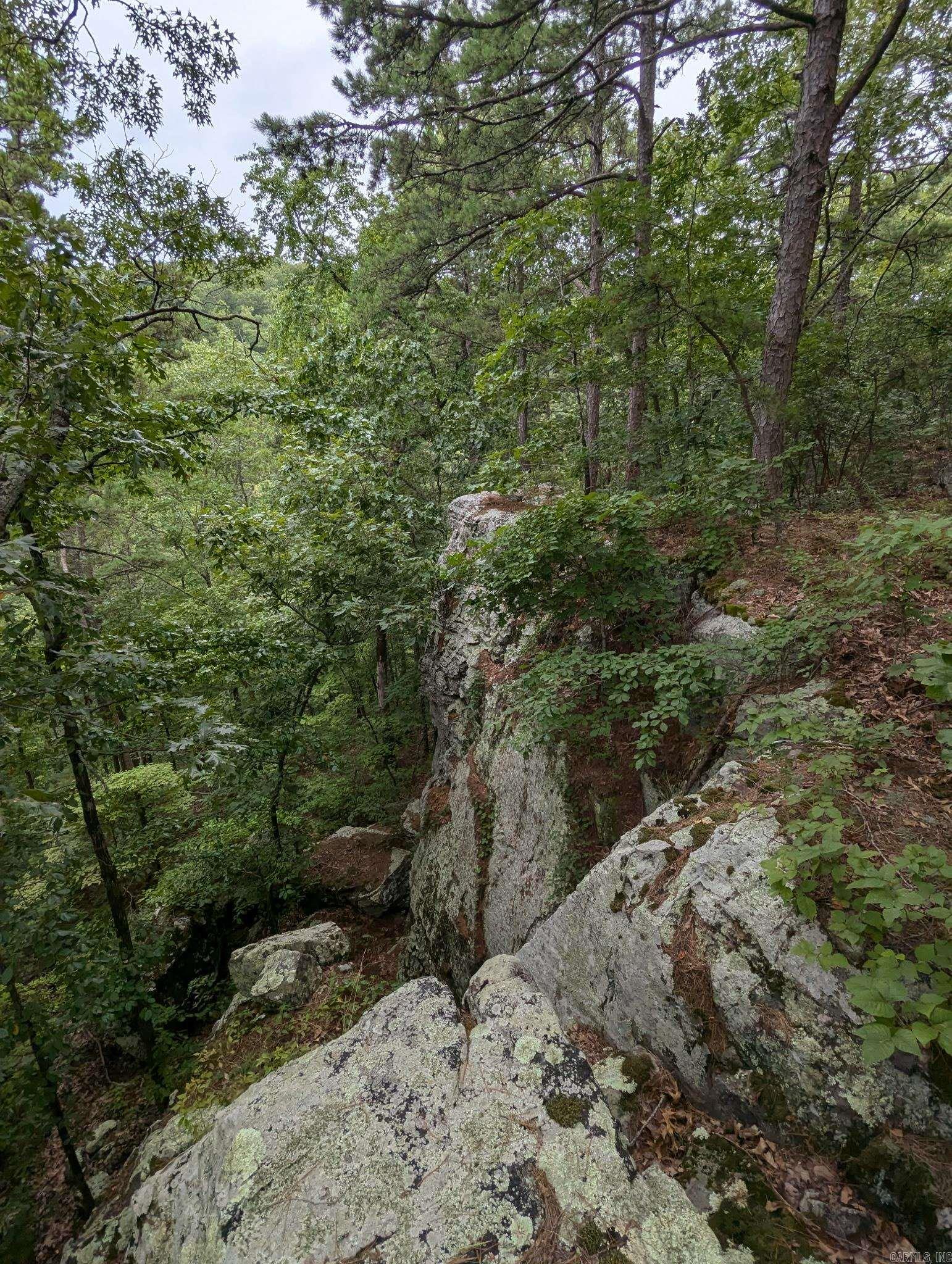 0000  Lute Mountain Road  Shirley, AR