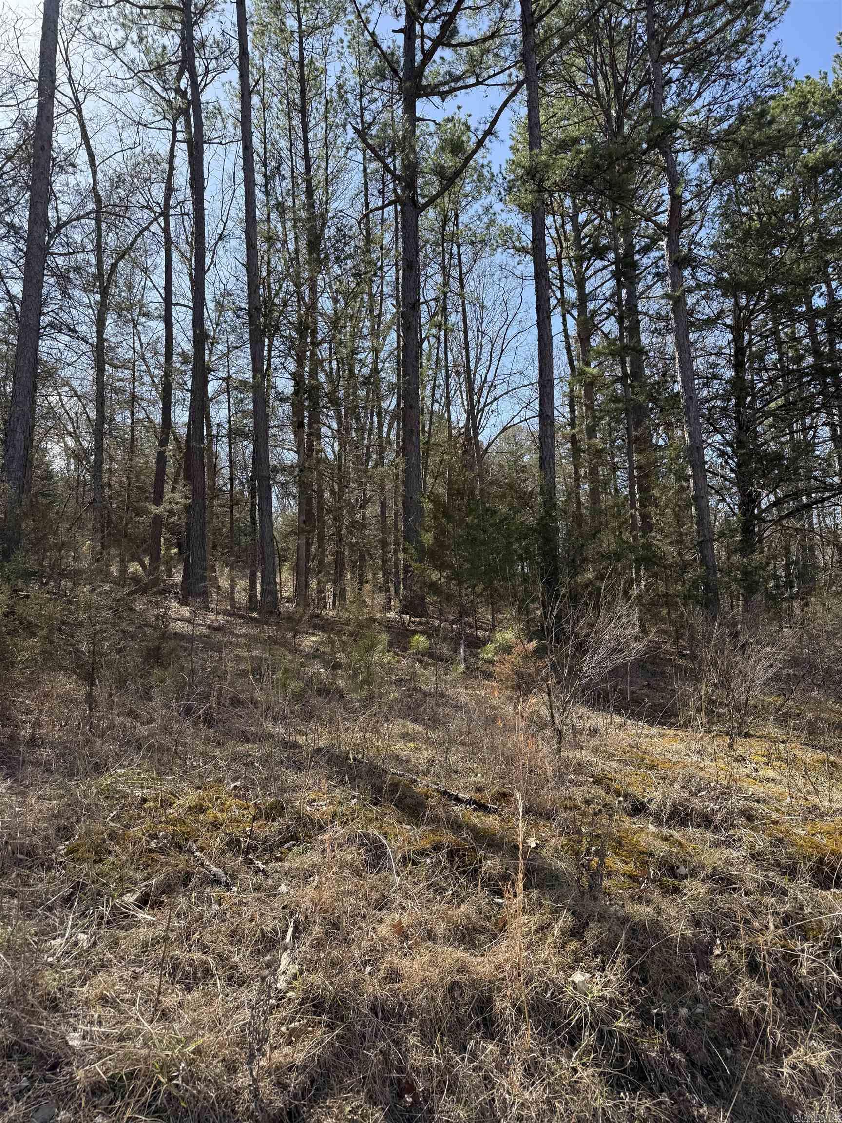 Lot 32  White Oak  Rogers, AR