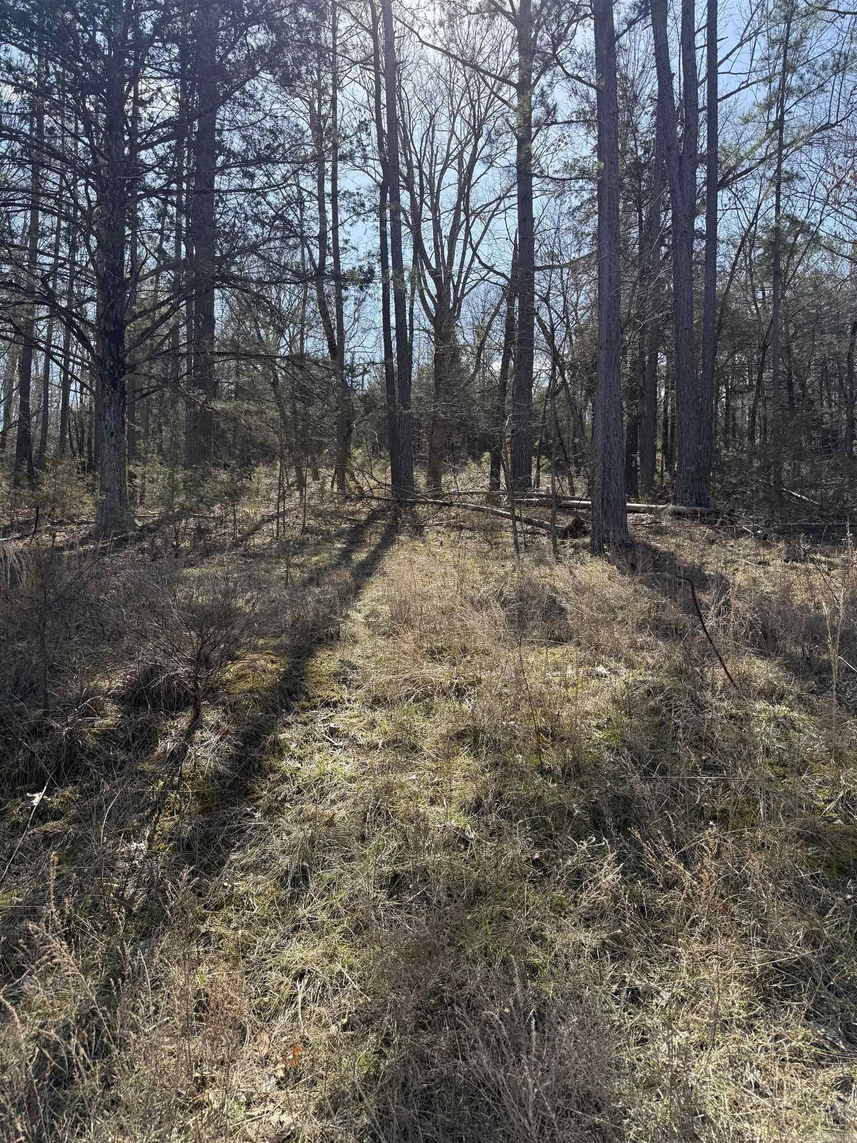 Lot 32  White Oak  Rogers, AR