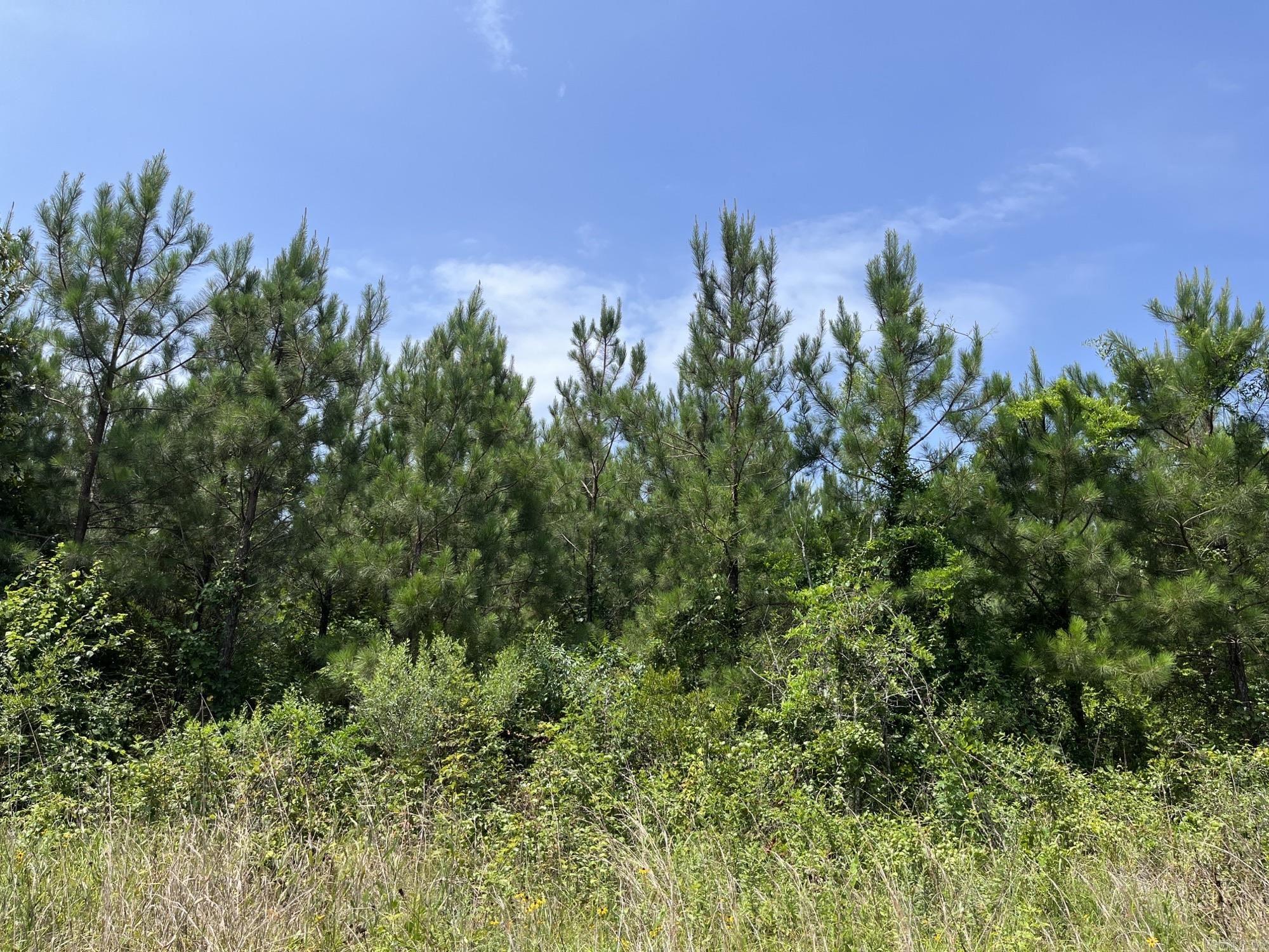 15-19-11  AR-Hwy 29  Huttig, AR