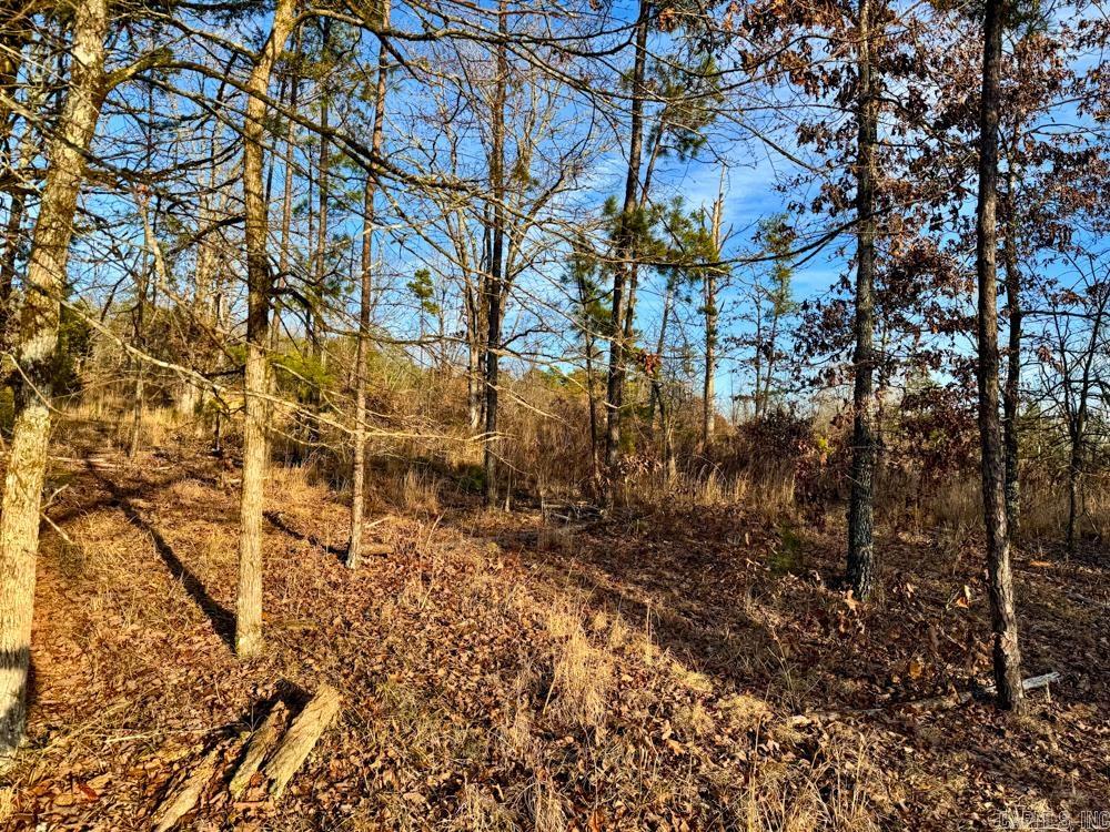 000  Flint  Scotland, AR