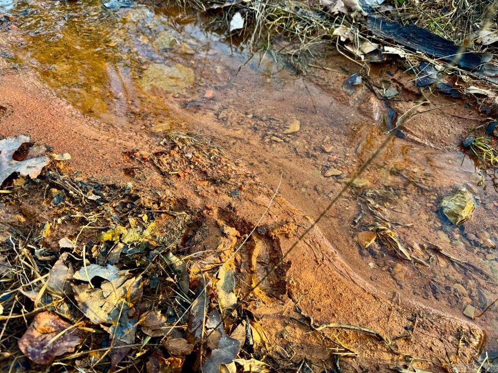 000  Flint  Scotland, AR