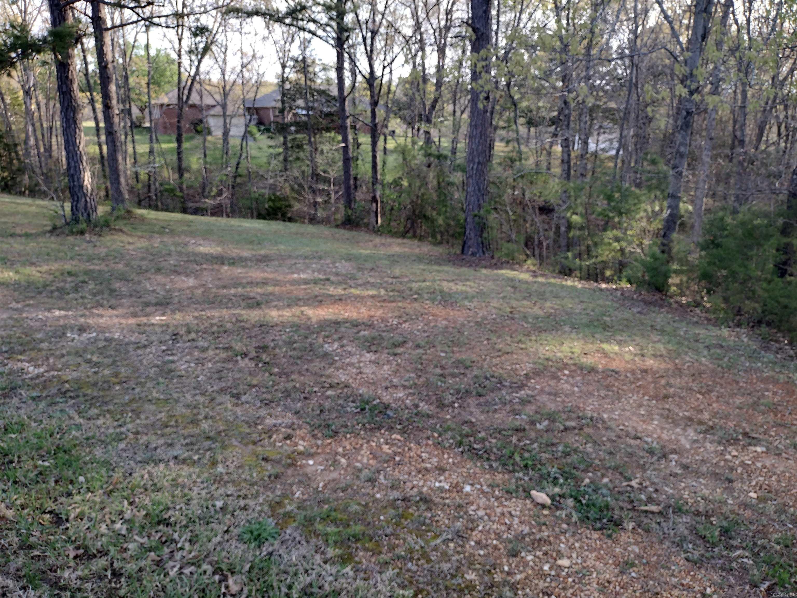 Lot 27  Tournament DR  Mountain View, AR