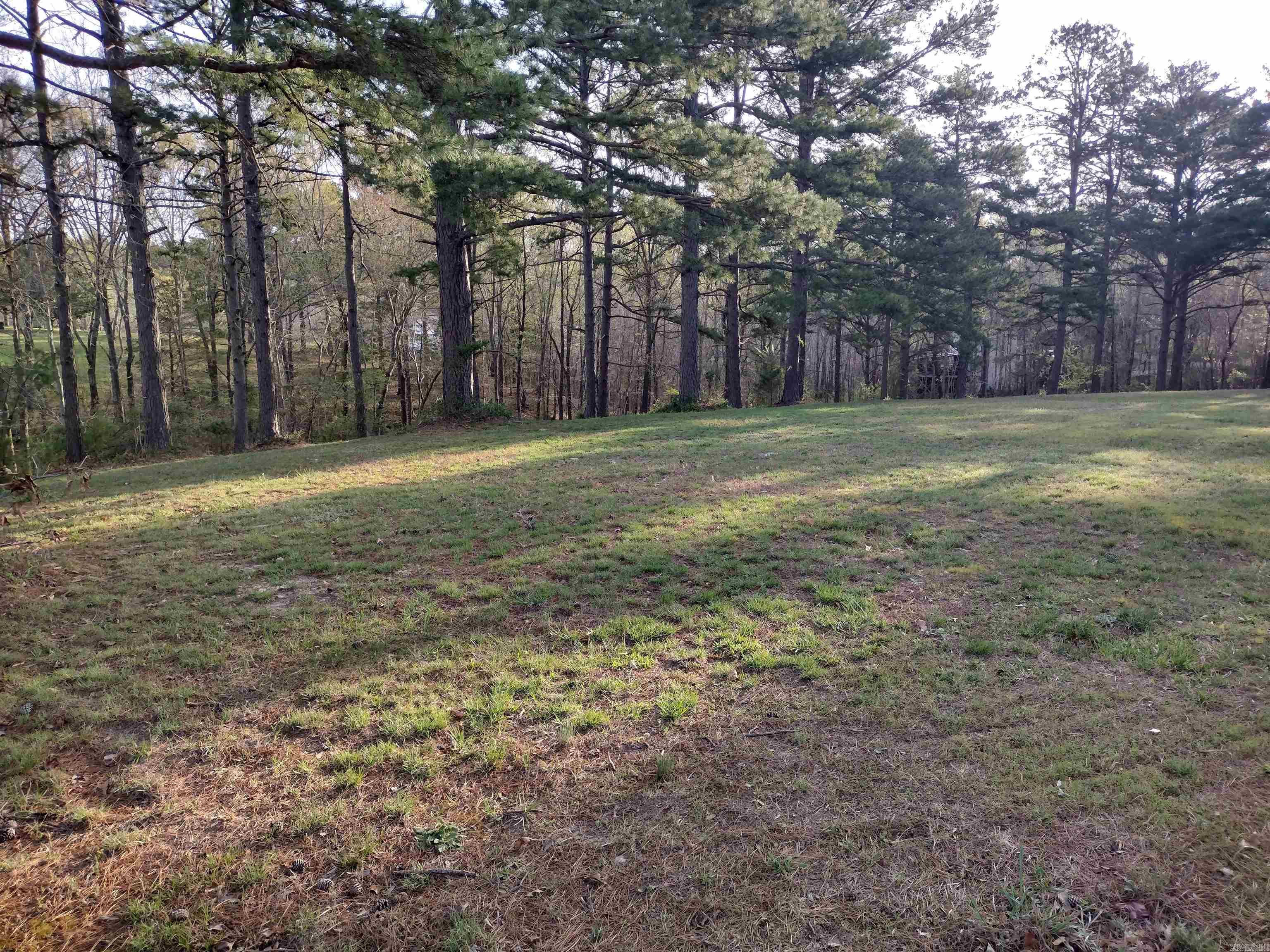 Lot 27  Tournament DR  Mountain View, AR