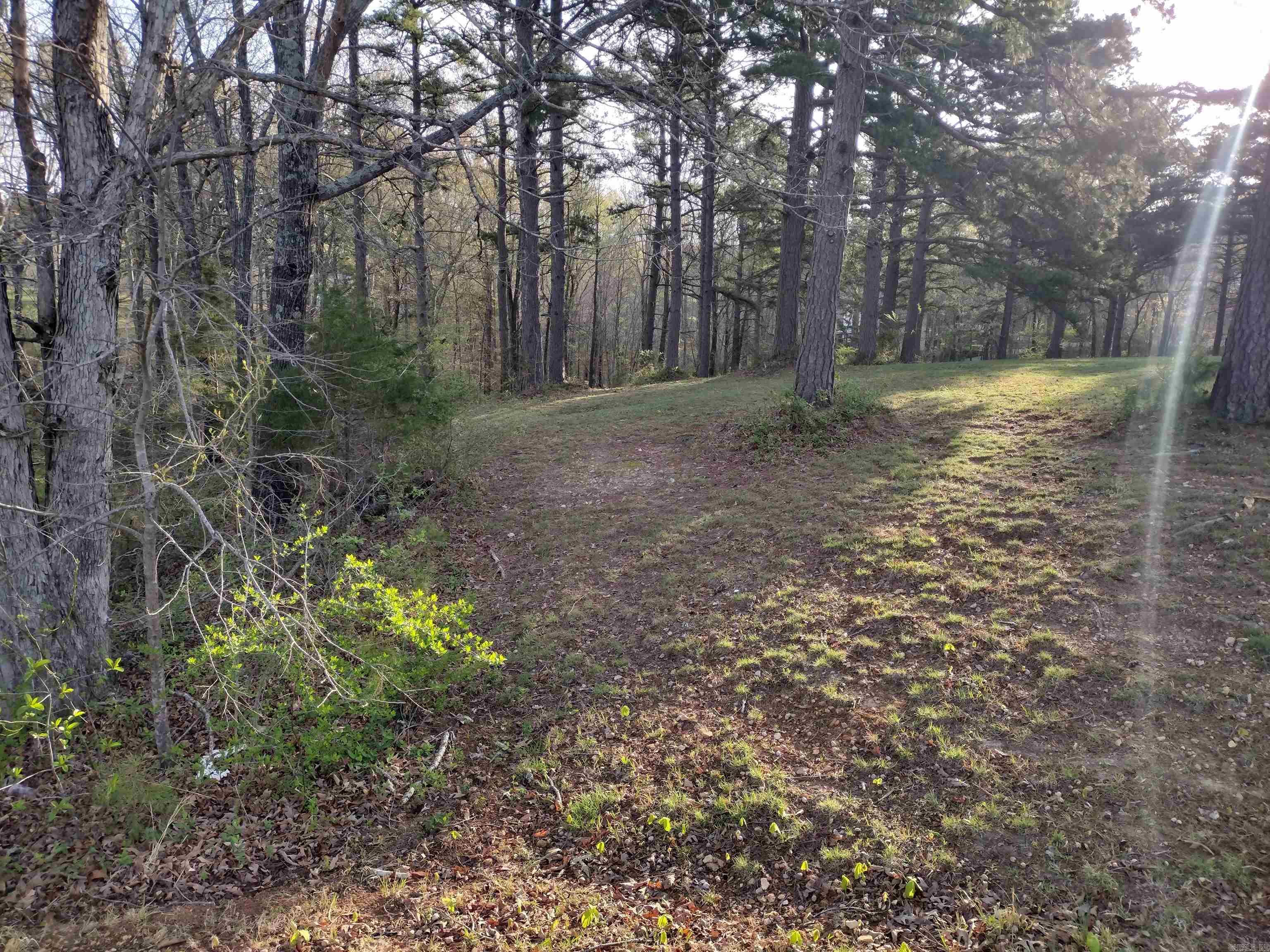 Lot 27  Tournament DR  Mountain View, AR