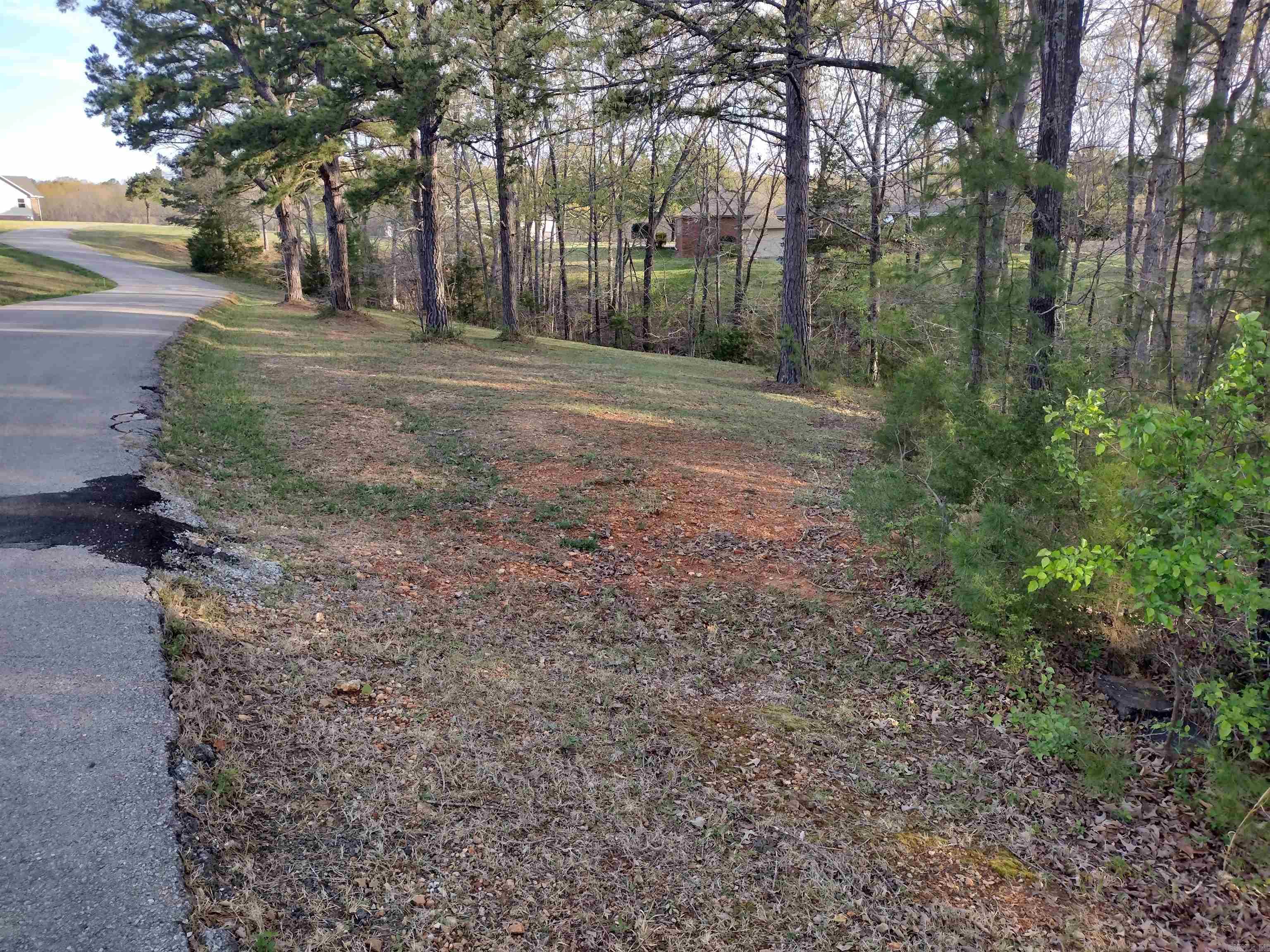 Lot 27  Tournament DR  Mountain View, AR