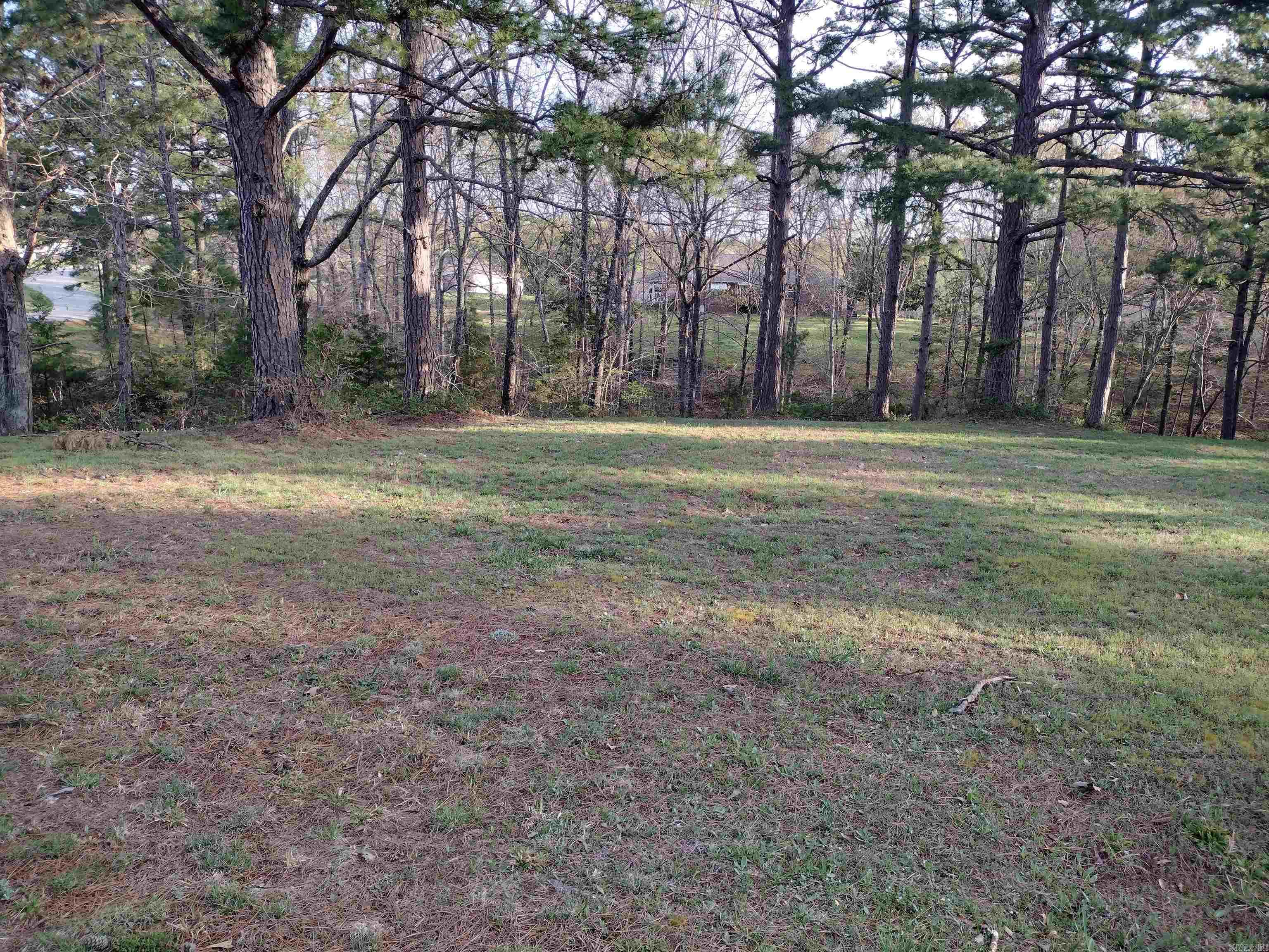 Lot 27  Tournament DR  Mountain View, AR