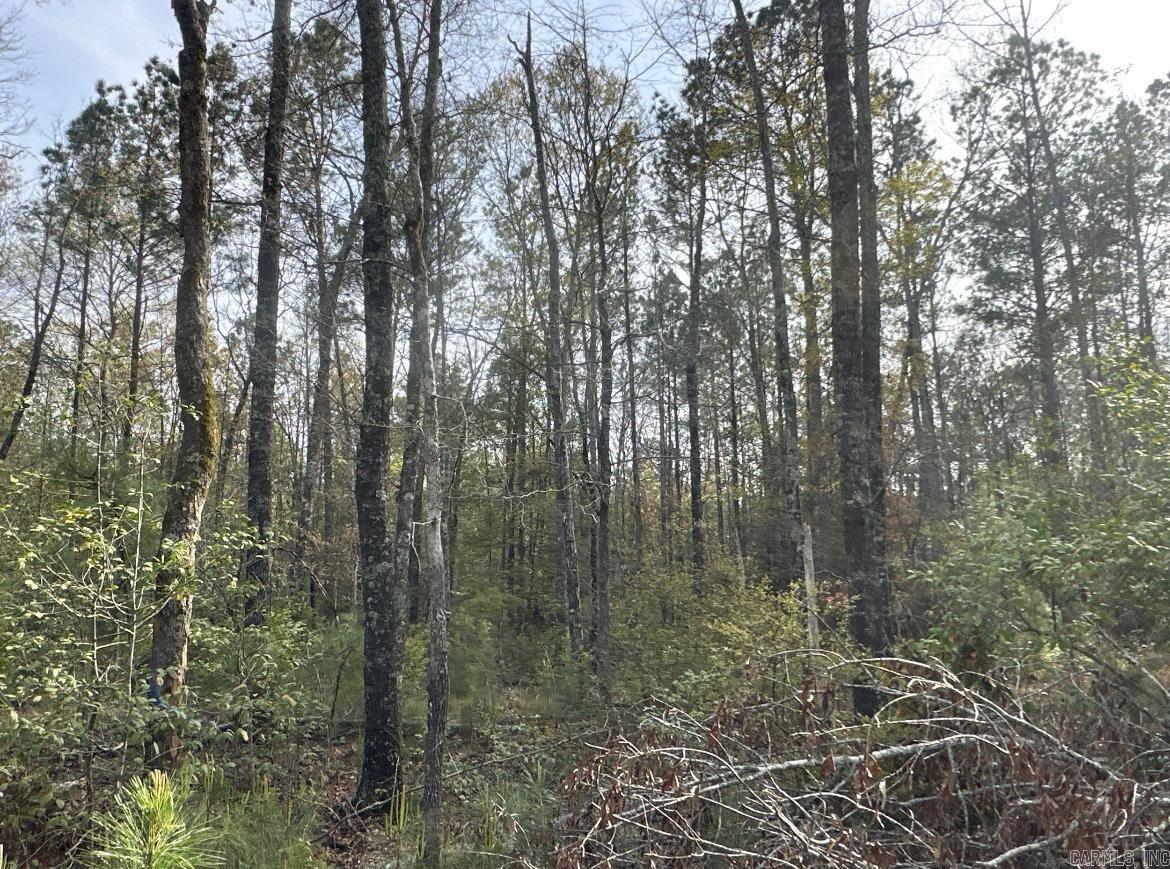 3-14-15  Calhoun CR 6  Hampton, AR