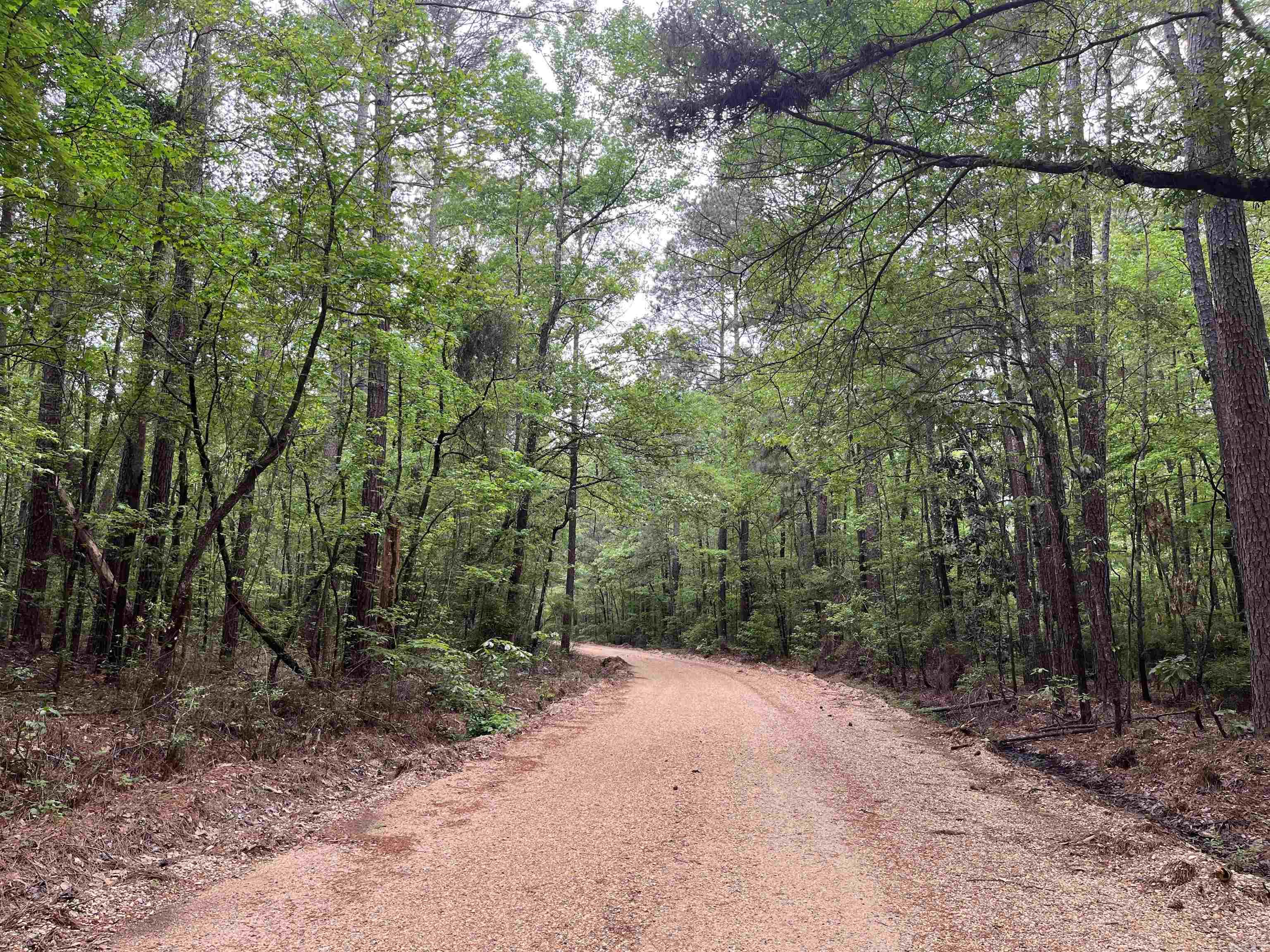 5-14-15  Calhoun CR 259  Locust Bayou, AR