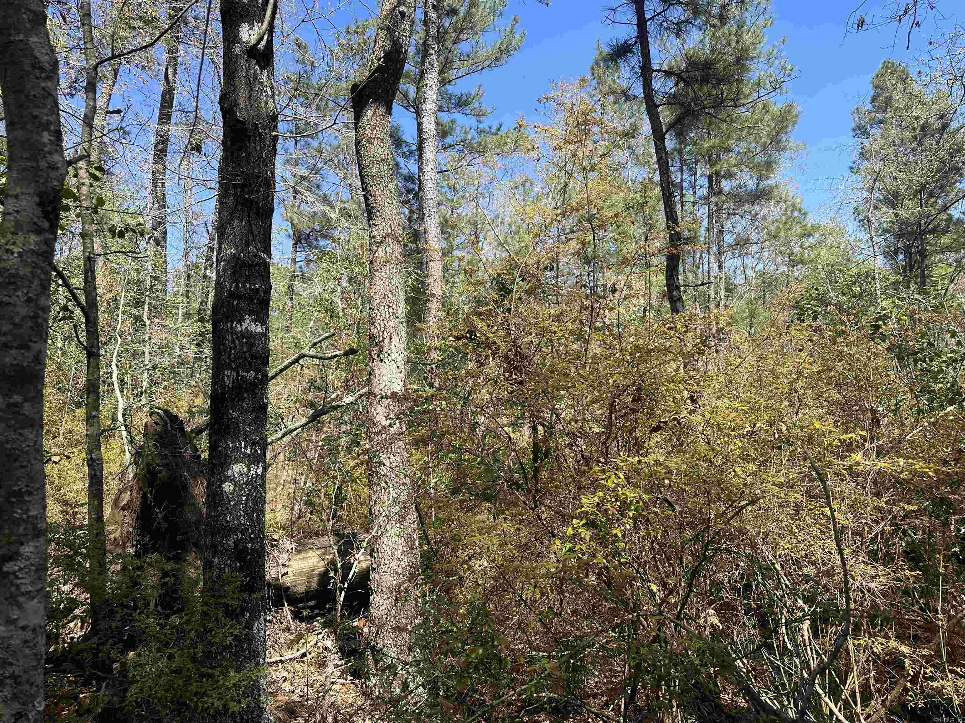 5-14-15  Calhoun CR 259  Locust Bayou, AR