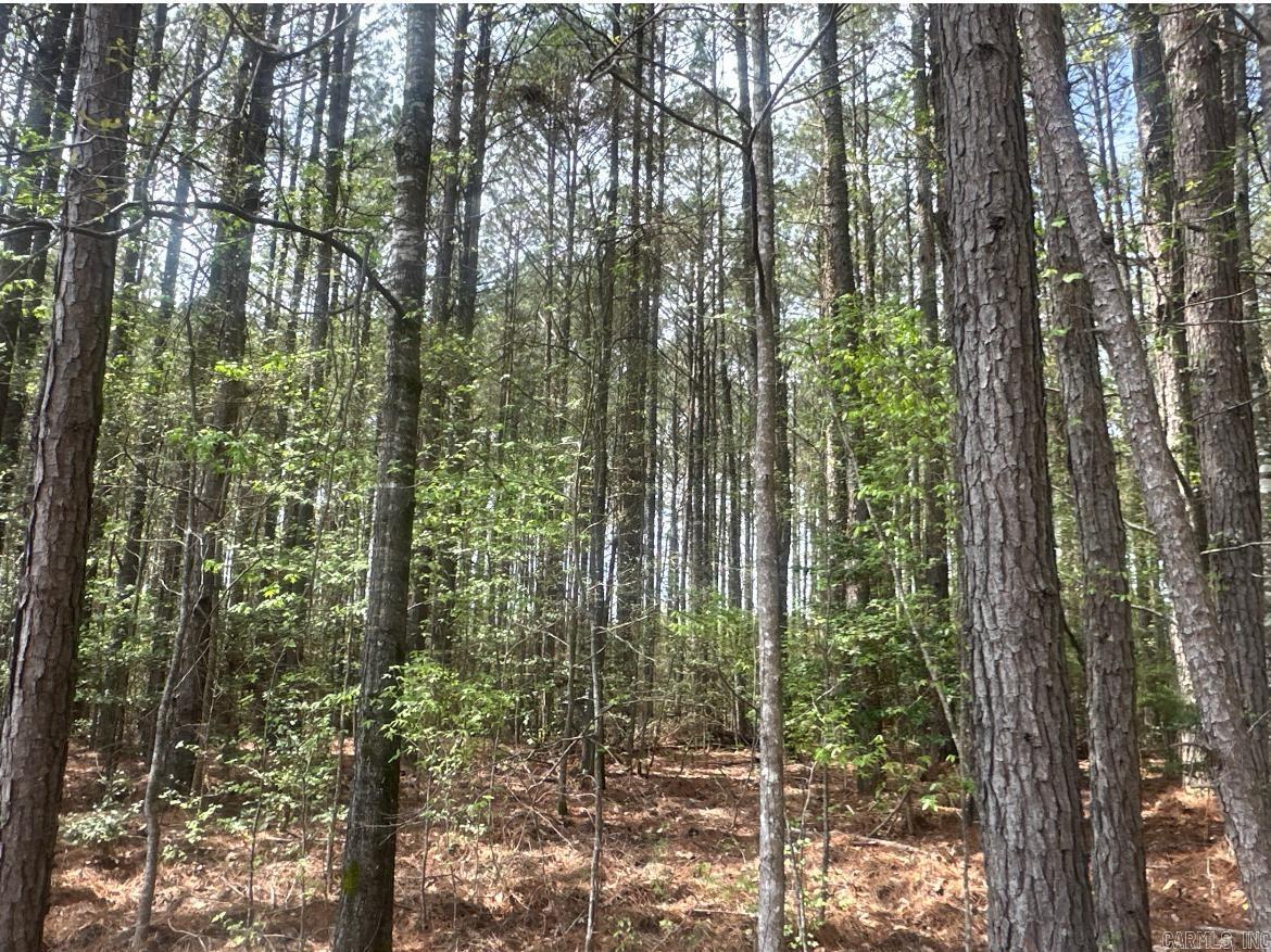 29-14-15  Calhoun CR 3  Hampton, AR