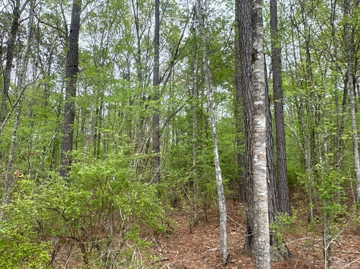 29-14-15  Calhoun CR 3  Hampton, AR
