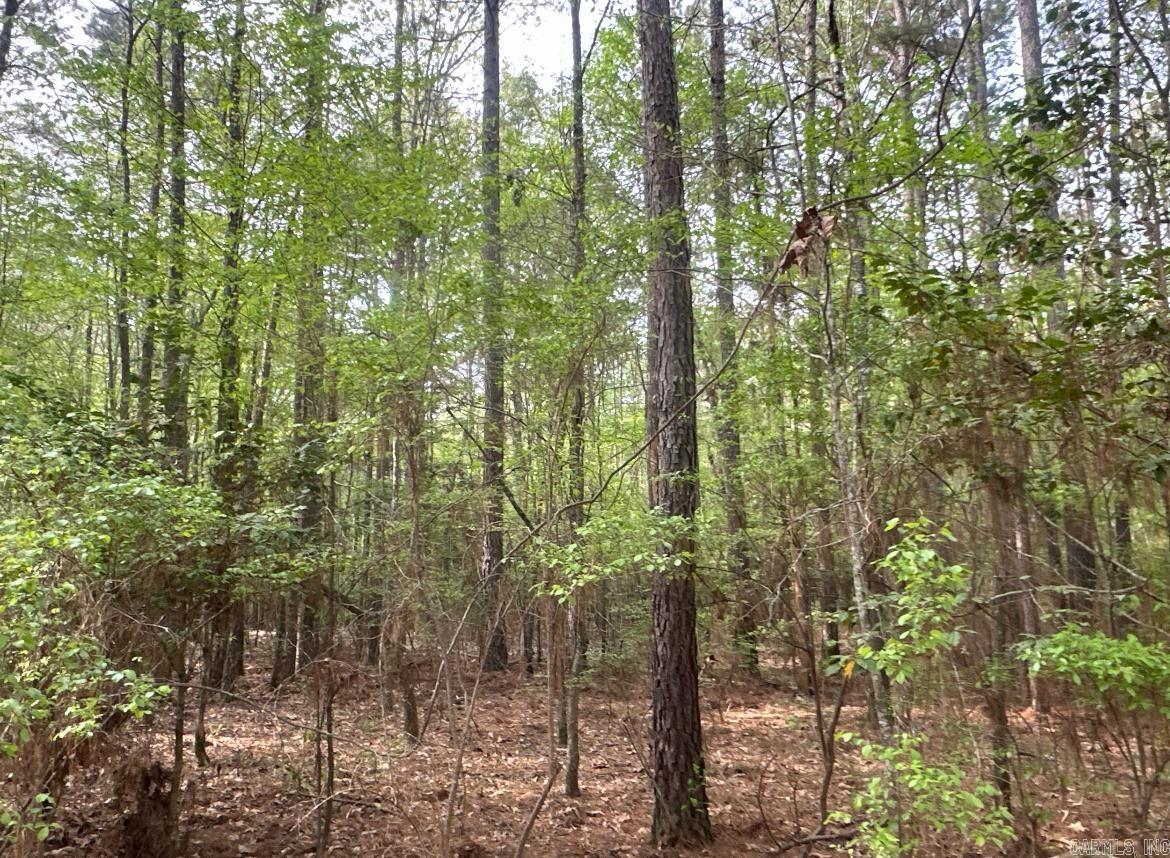 29-14-15  Calhoun CR 3  Hampton, AR