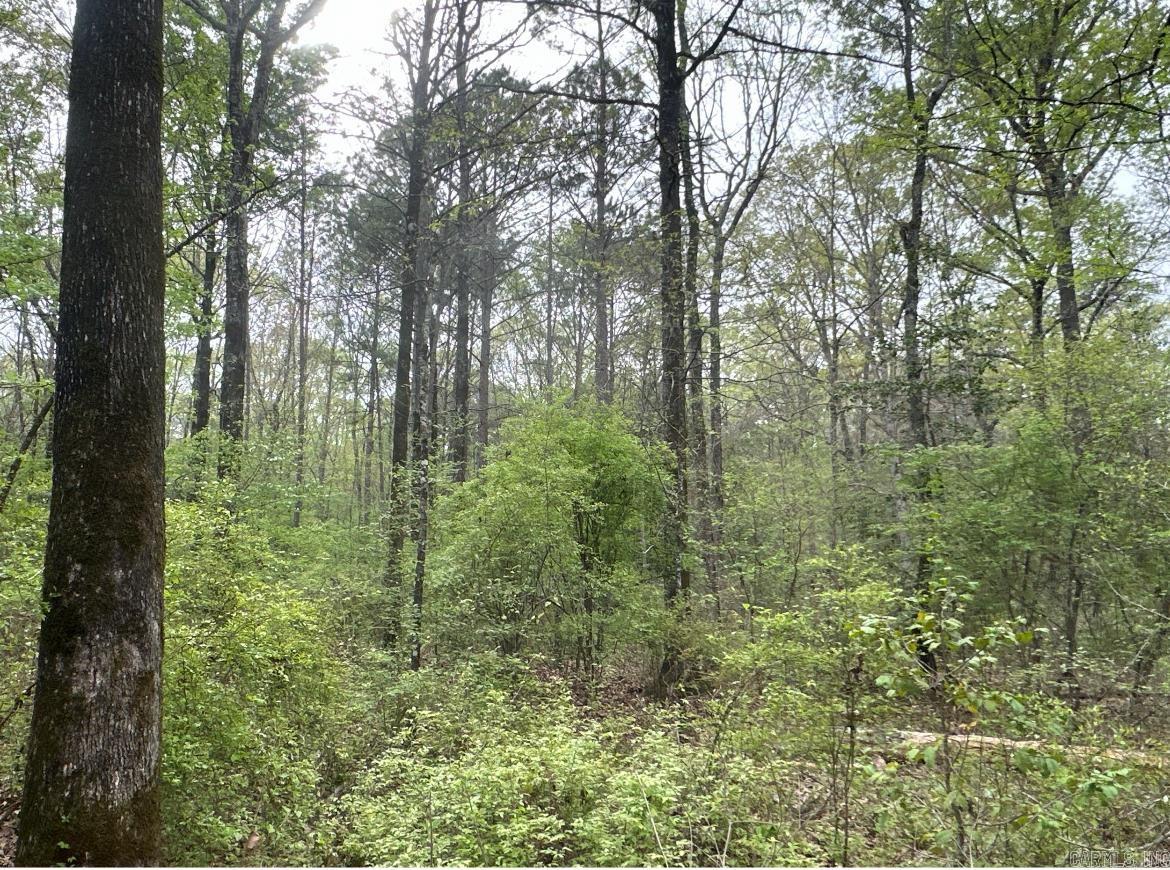 29-14-15  Calhoun CR 3  Hampton, AR