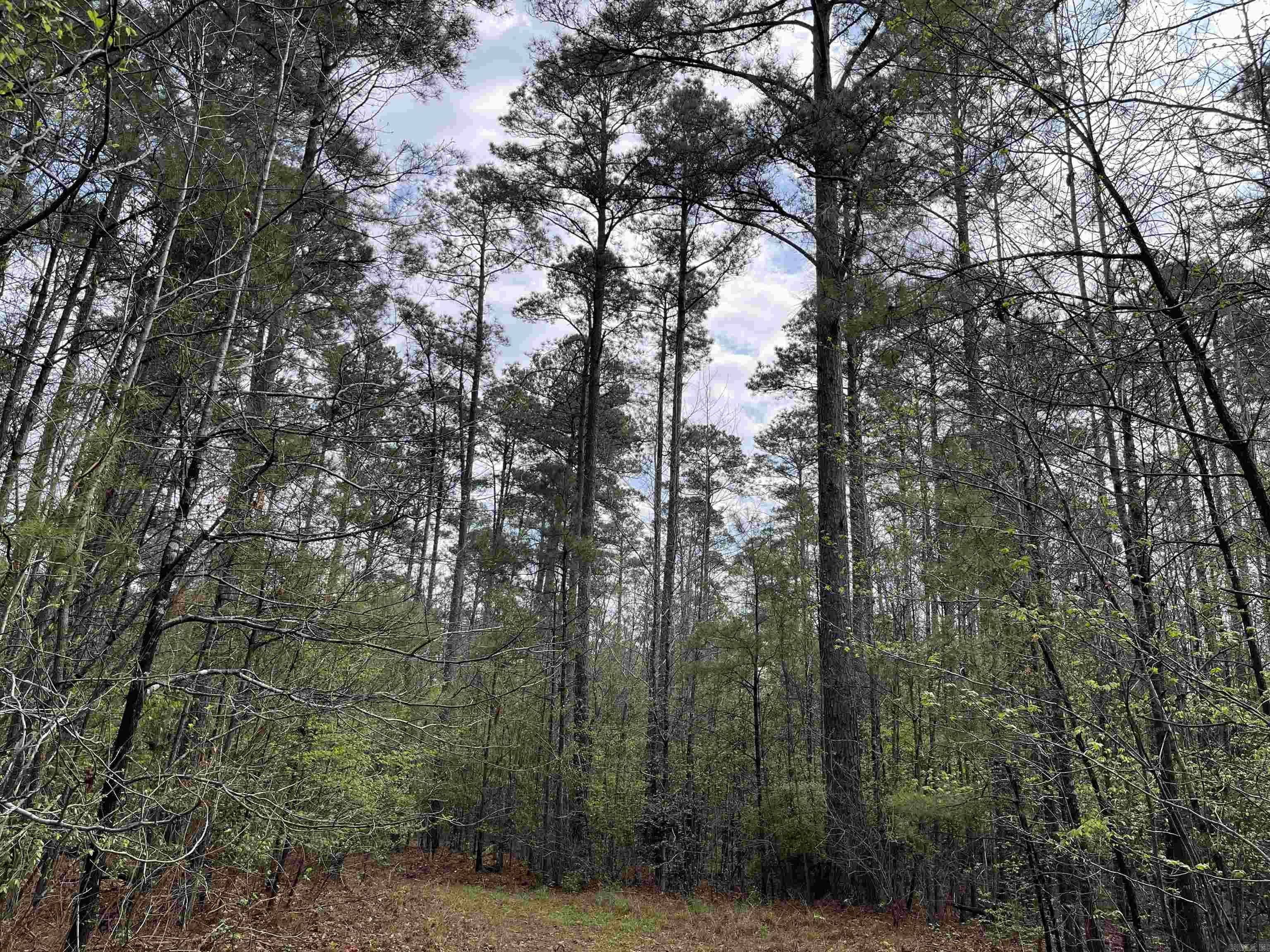 13-10-10  AR Hwy 35  Rison, AR